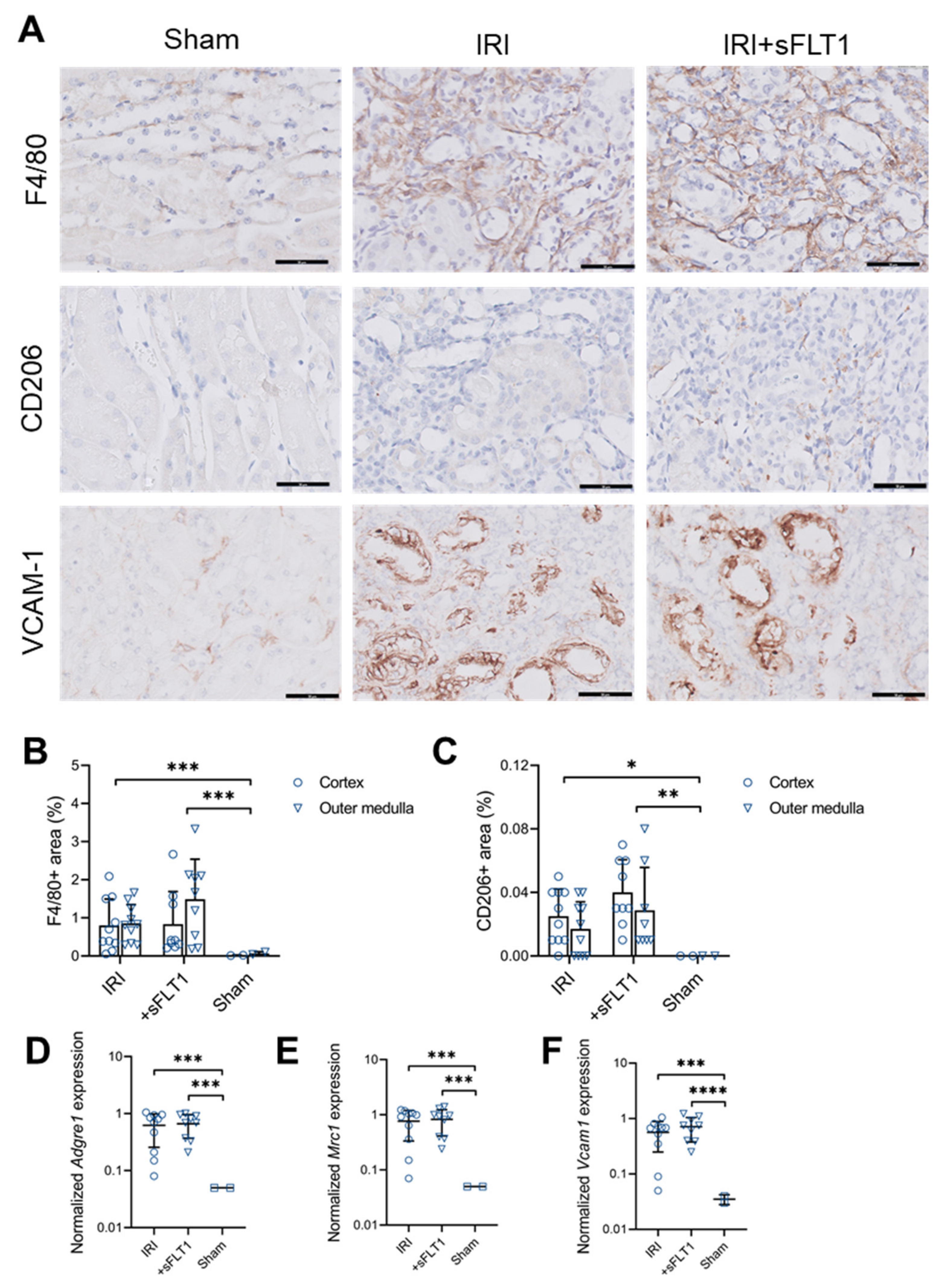 Ijms 23 09660 g004 550