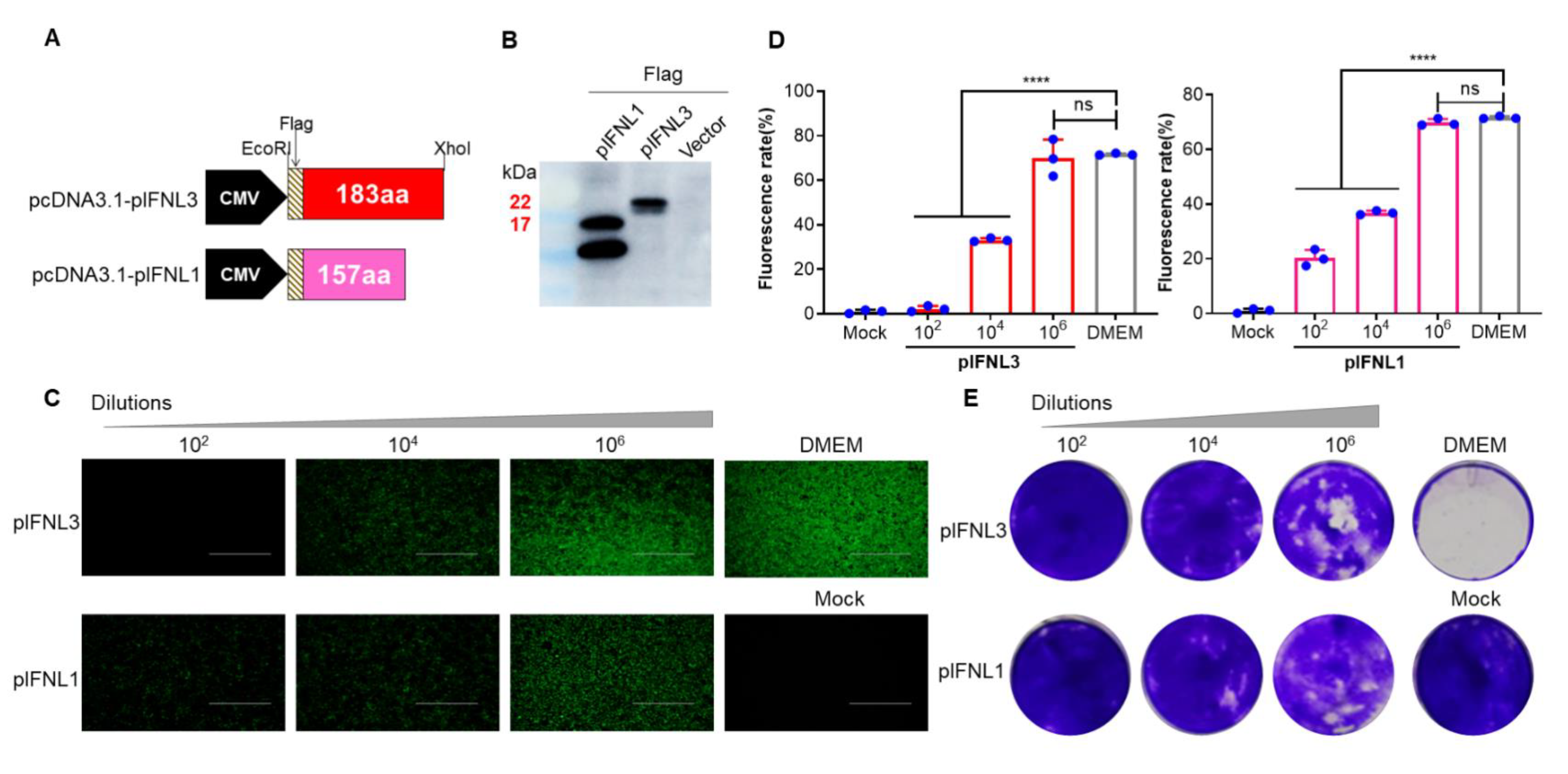 Ijms 23 09661 g001 550