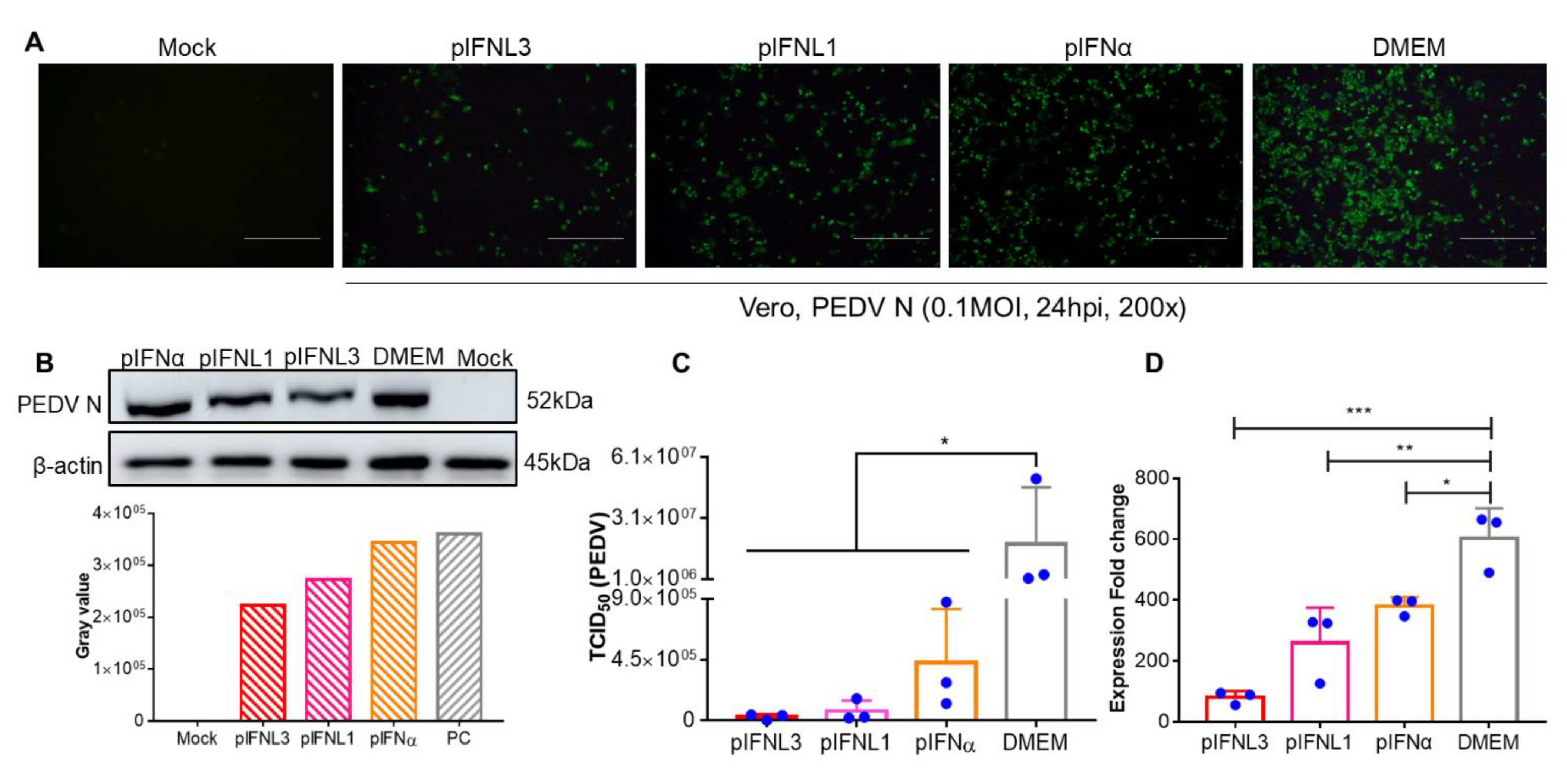 Ijms 23 09661 g004 550