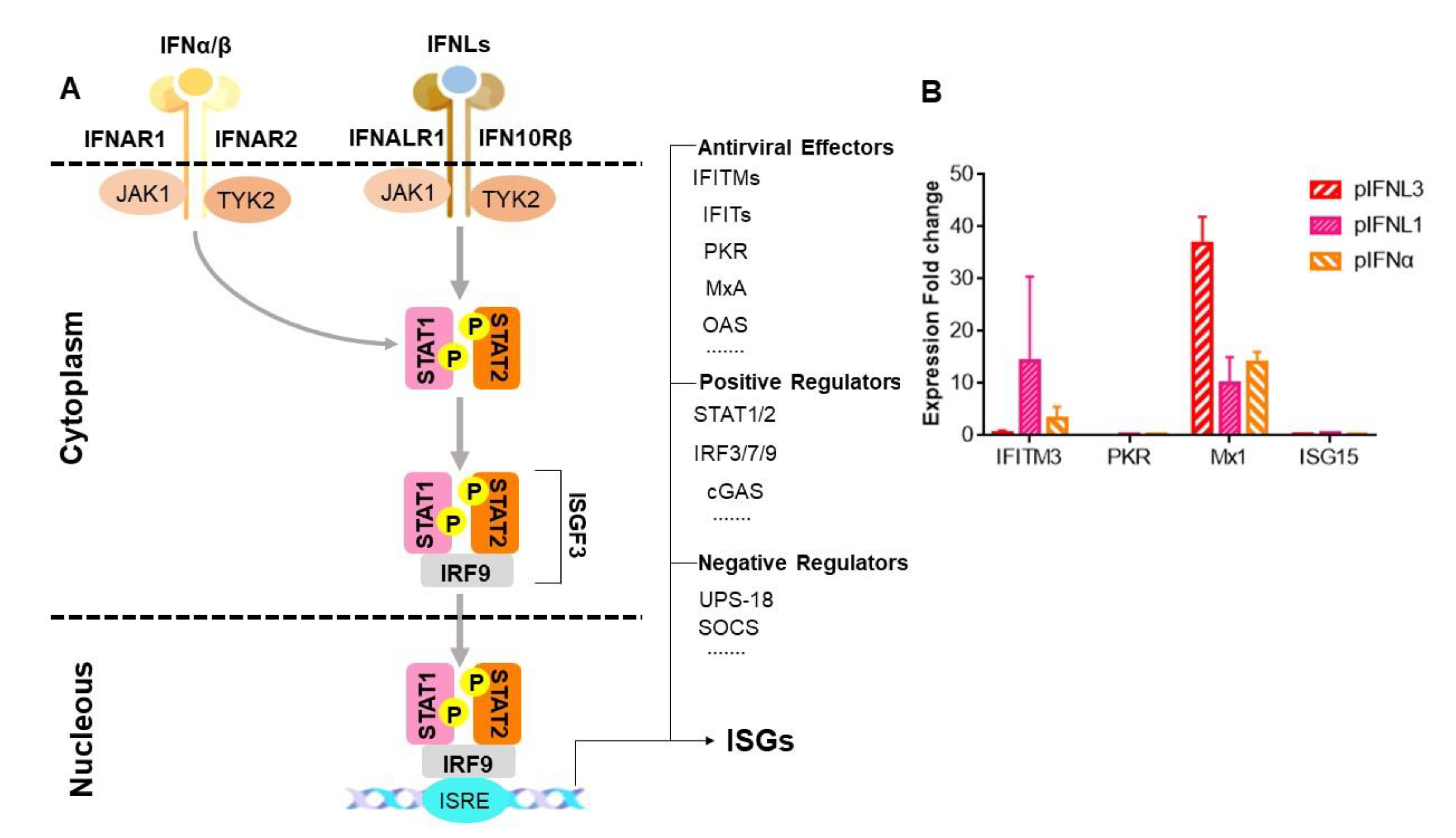 Ijms 23 09661 g005 550
