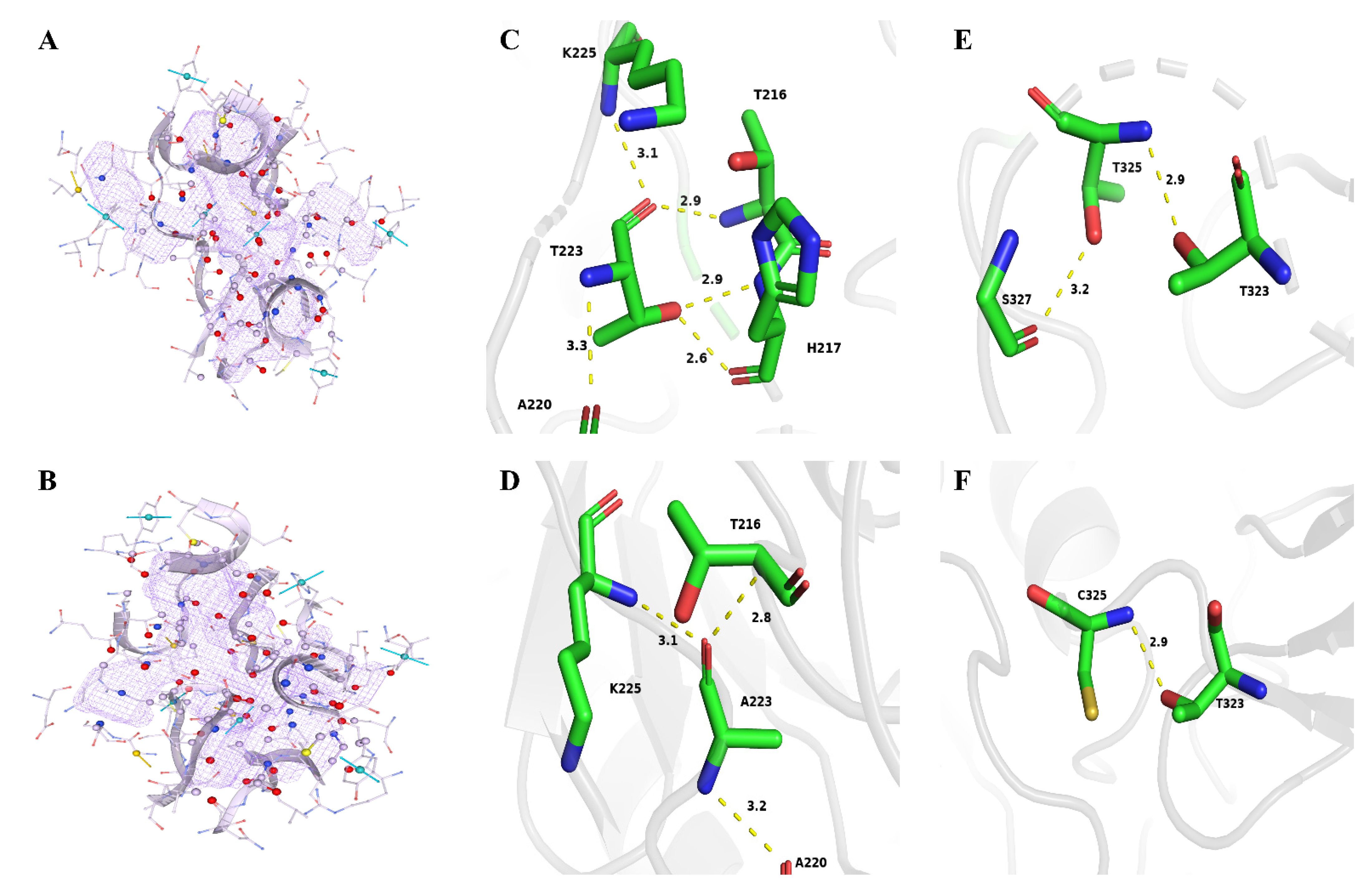 Ijms 23 09663 g007 550