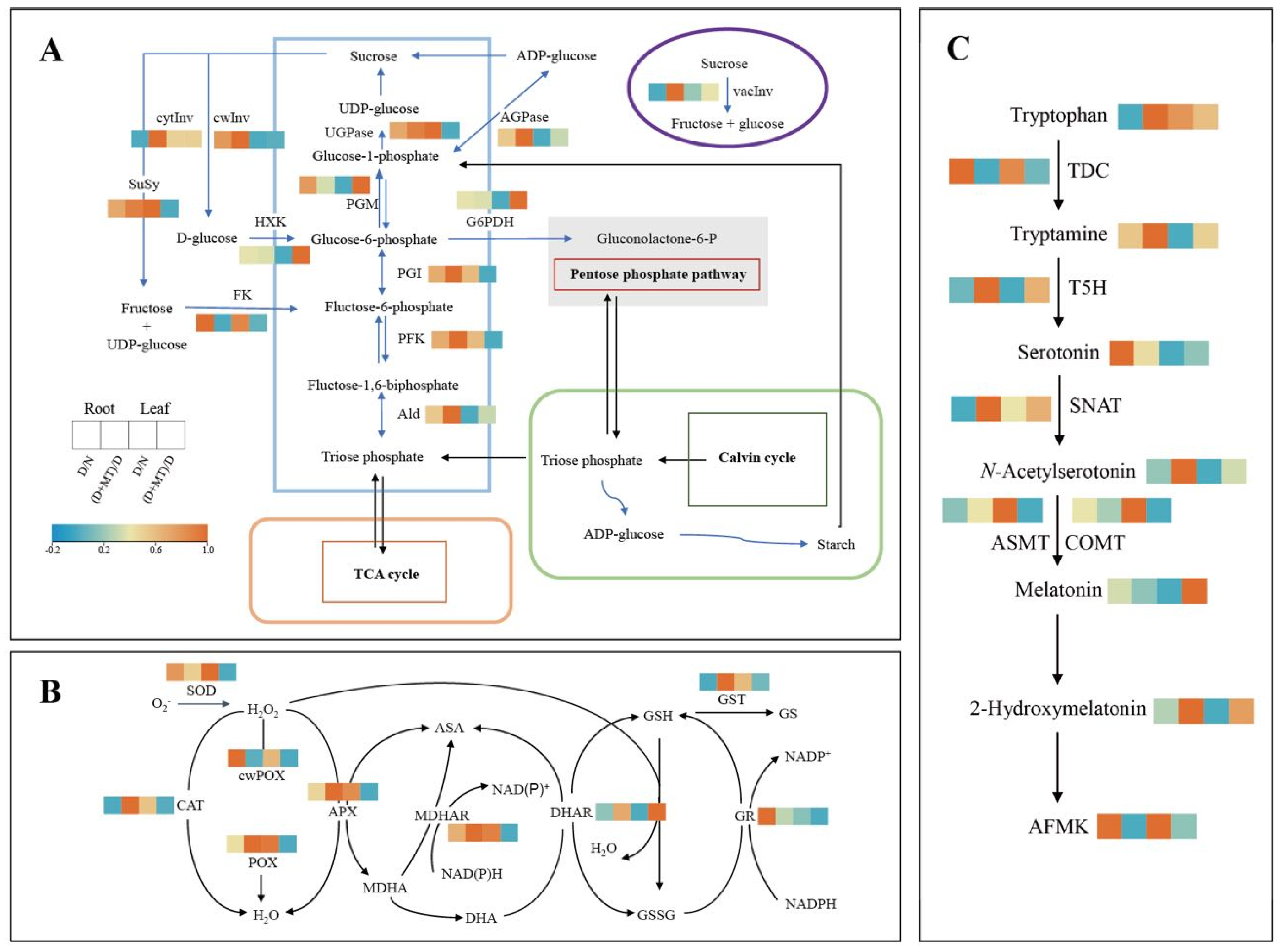 Ijms 23 09665 g002 550