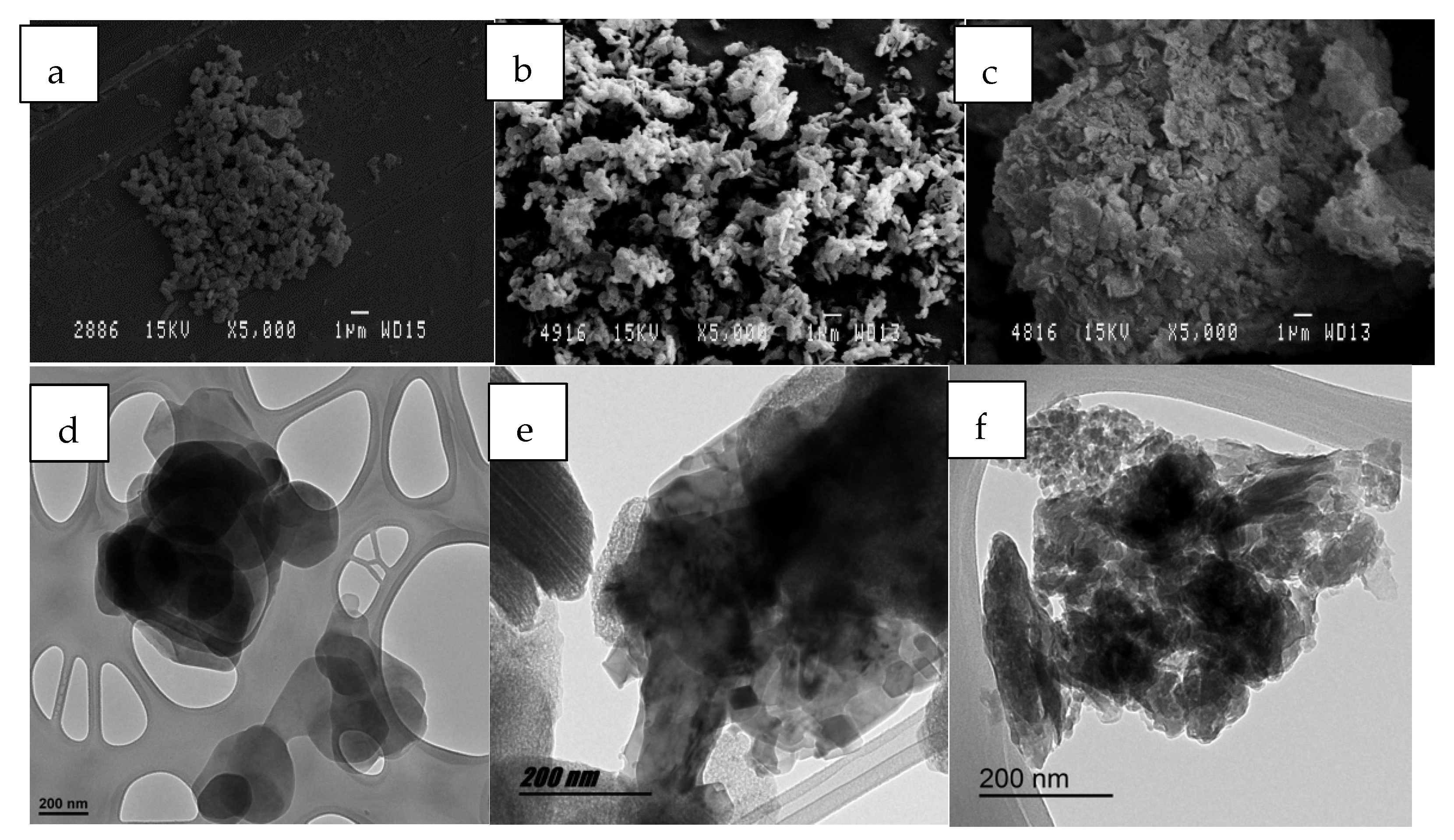 Ijms 23 09671 g018 550