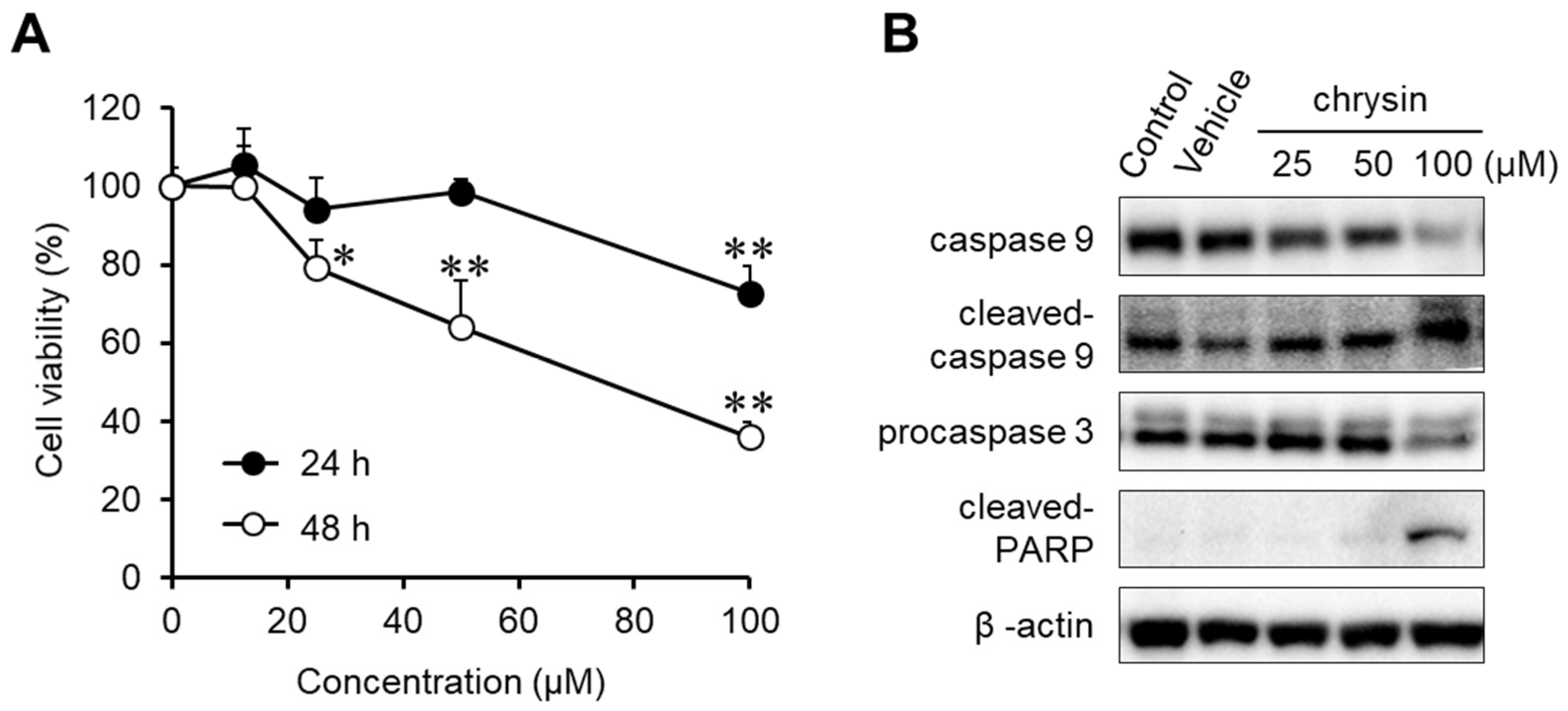 Ijms 23 09673 g001 550