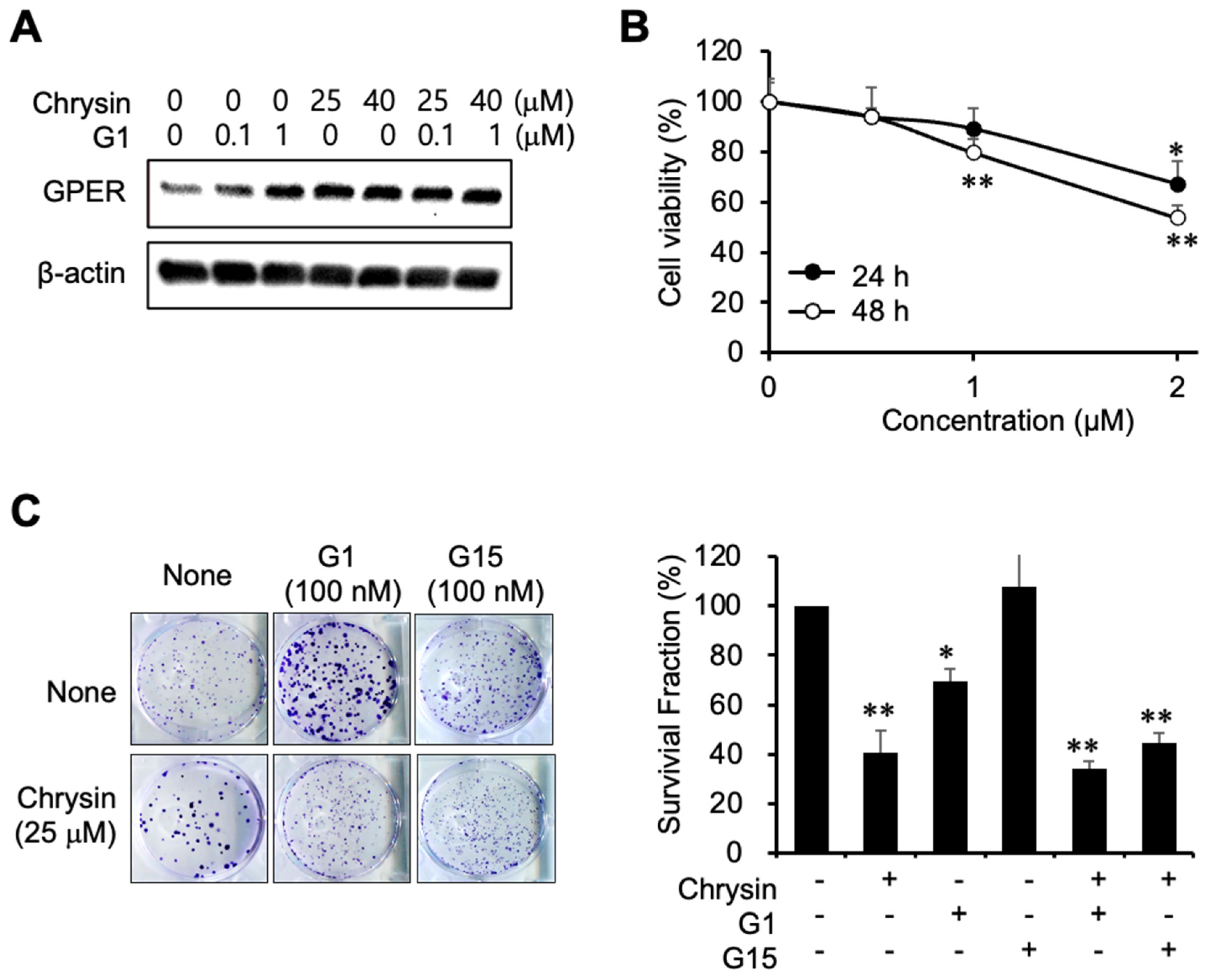 Ijms 23 09673 g003 550