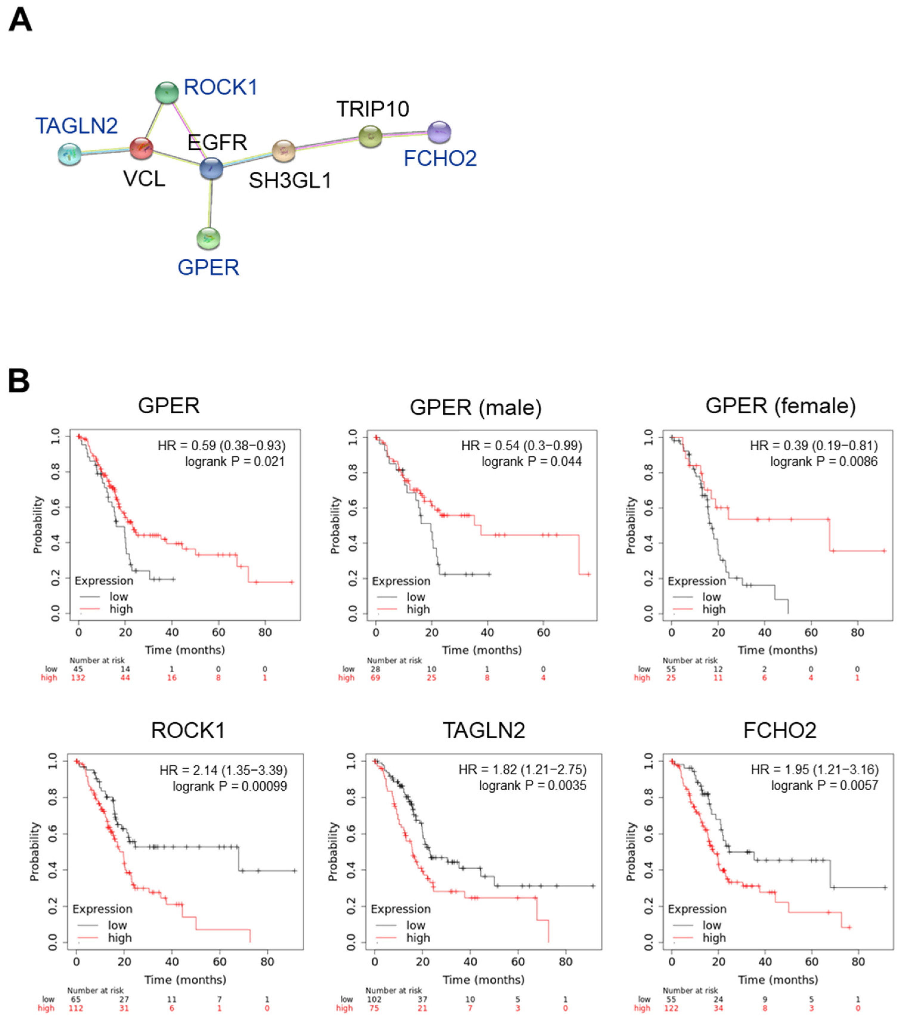 Ijms 23 09673 g006 550