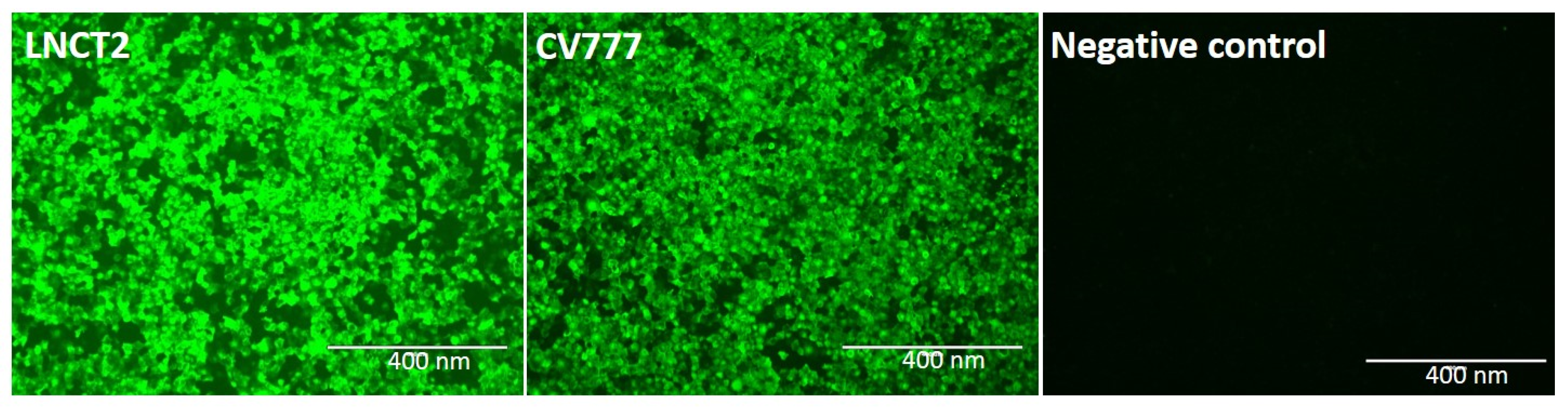 Ijms 23 09674 g001 550