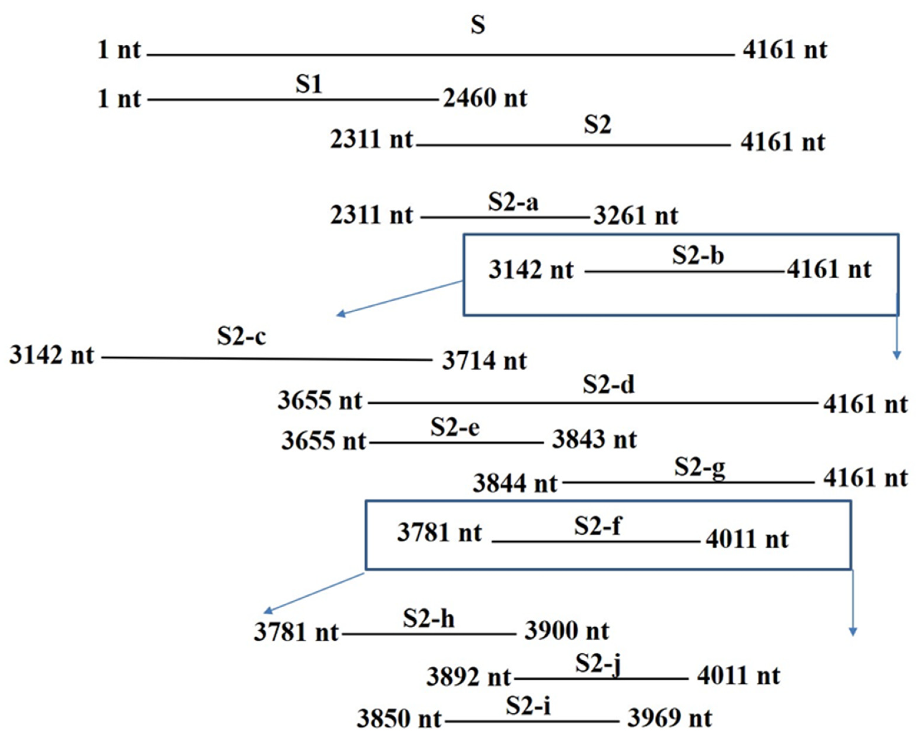 Ijms 23 09674 g004 550
