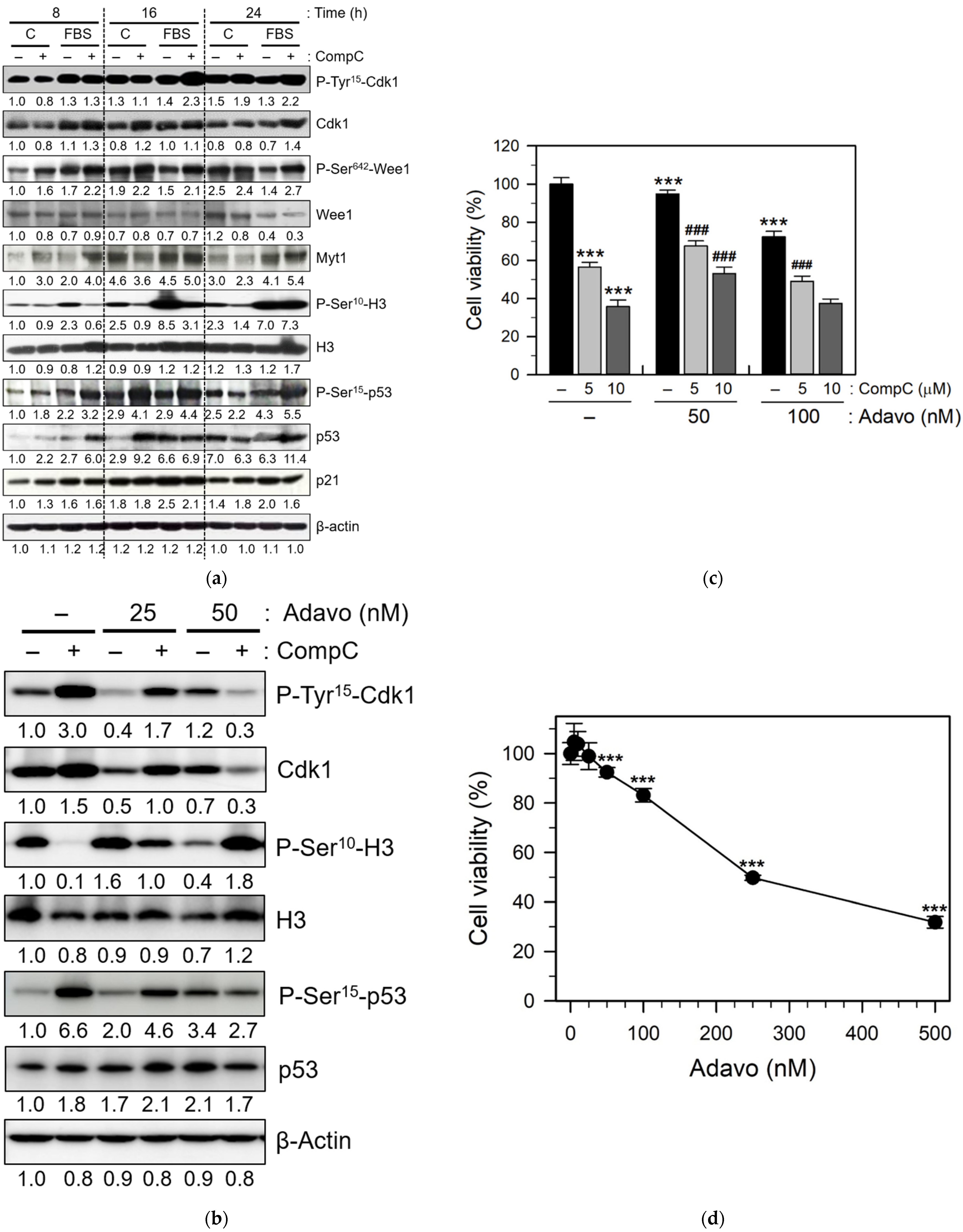 Ijms 23 09675 g005 Ijms 23 09675 g005