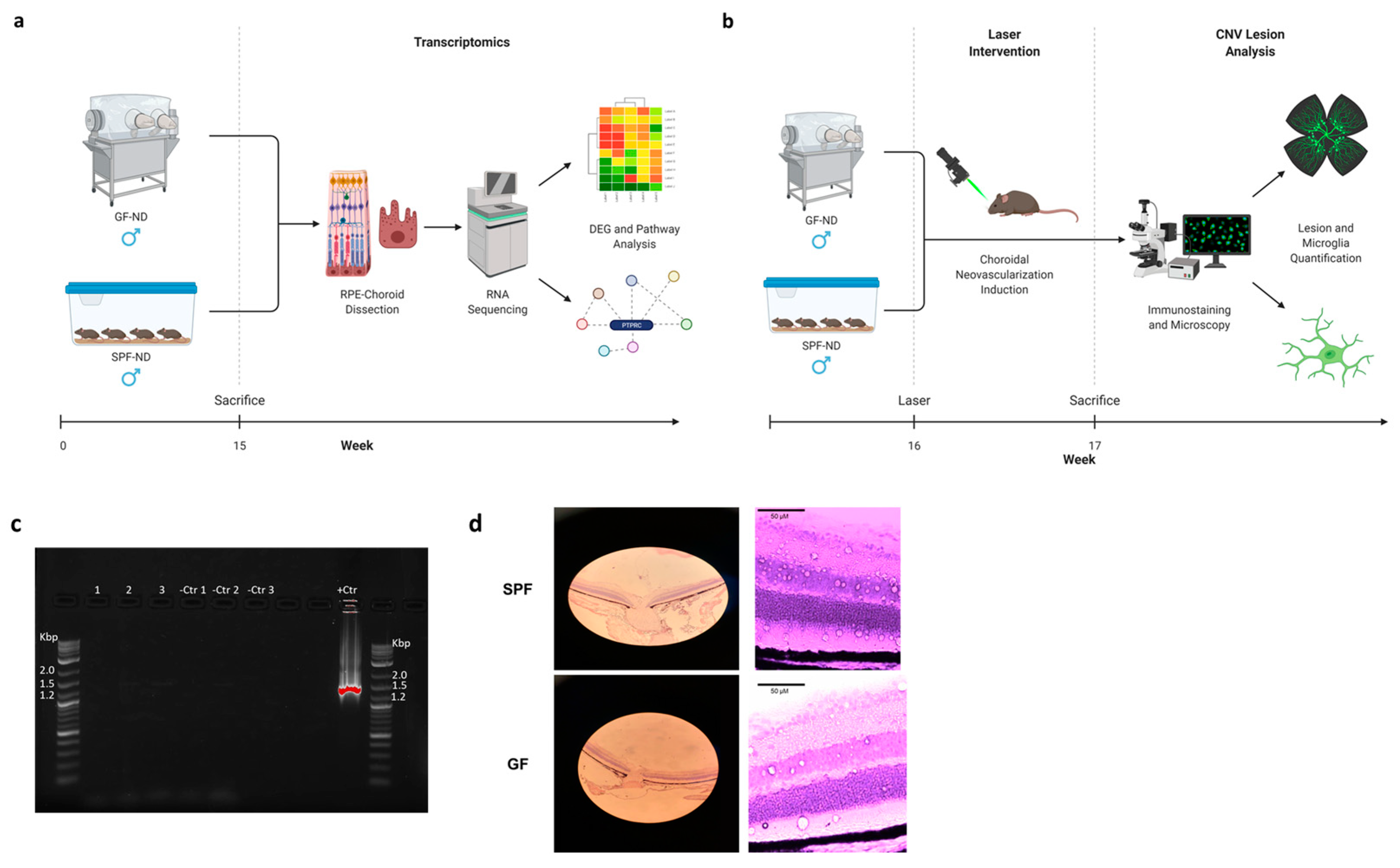 Ijms 23 09676 g001 550