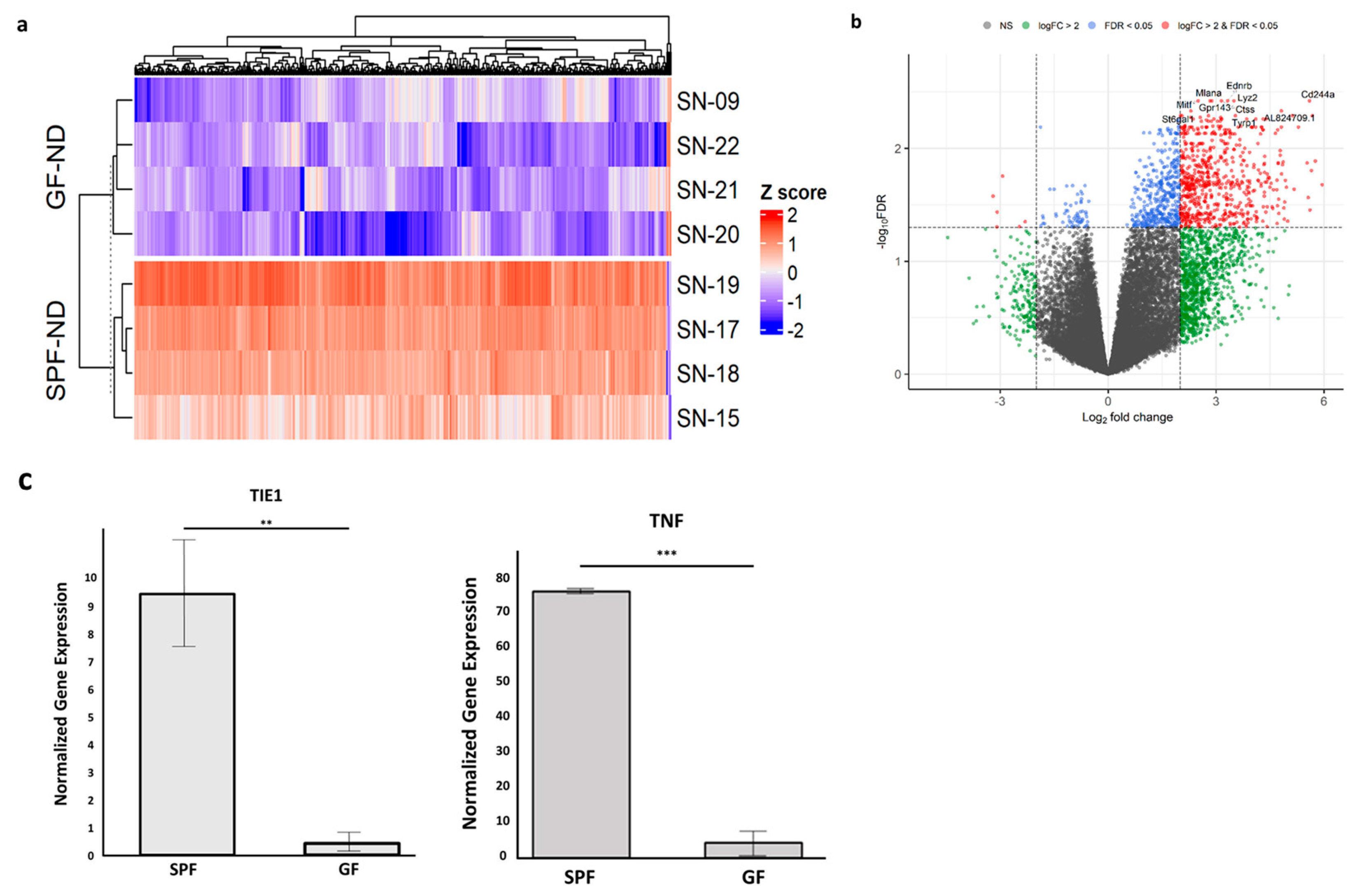 Ijms 23 09676 g002 550