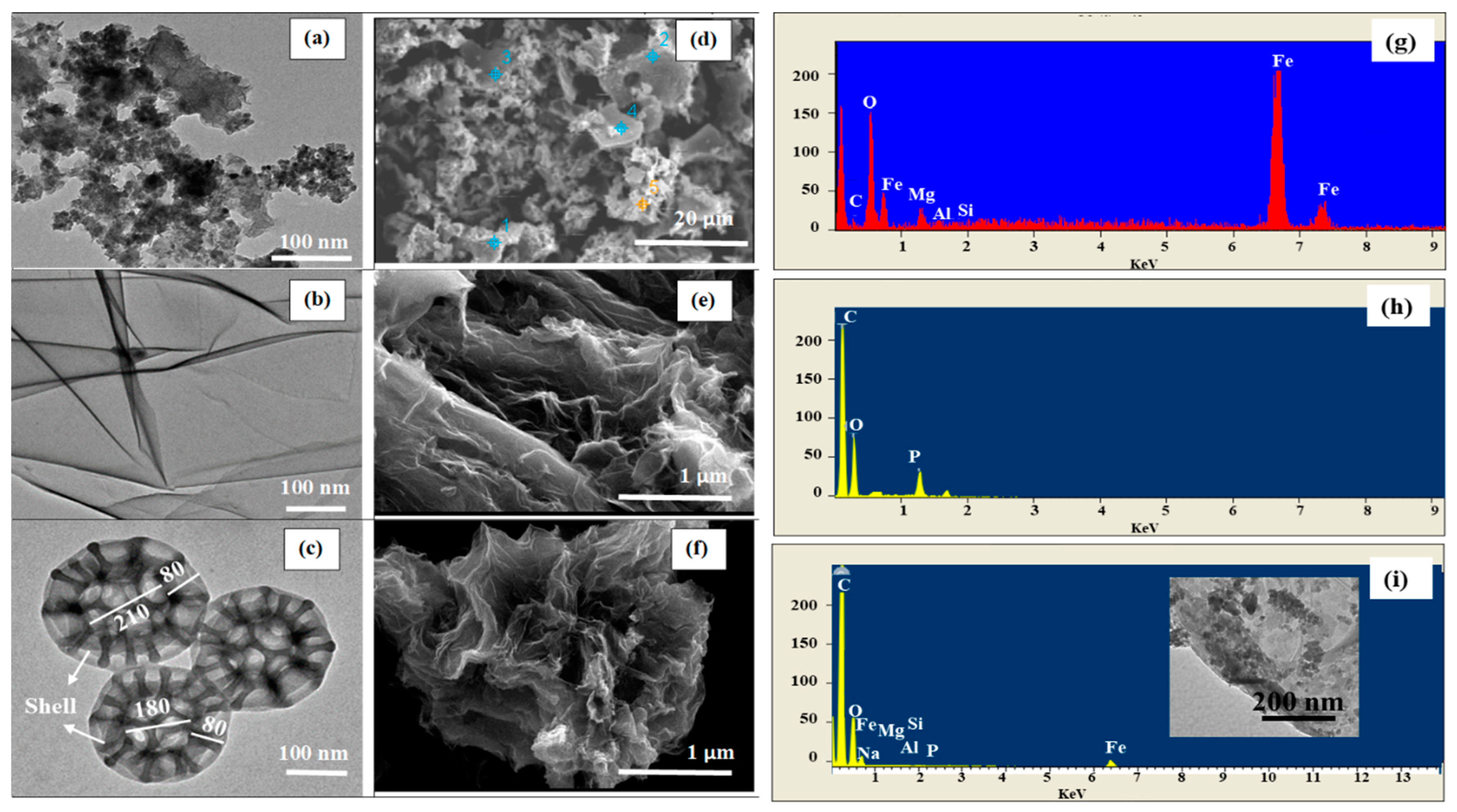 Ijms 23 09678 g004 550