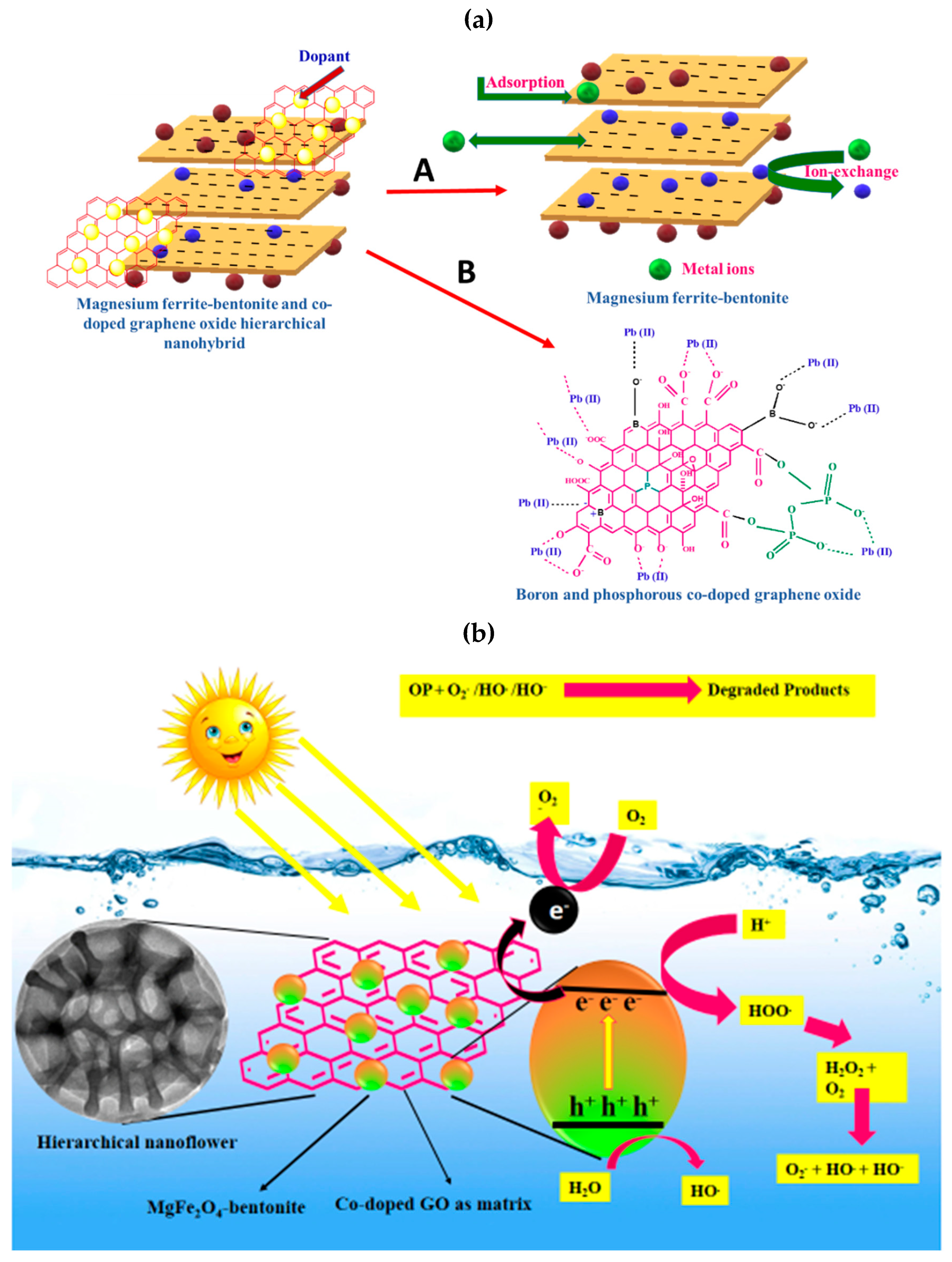 Ijms 23 09678 g009 550