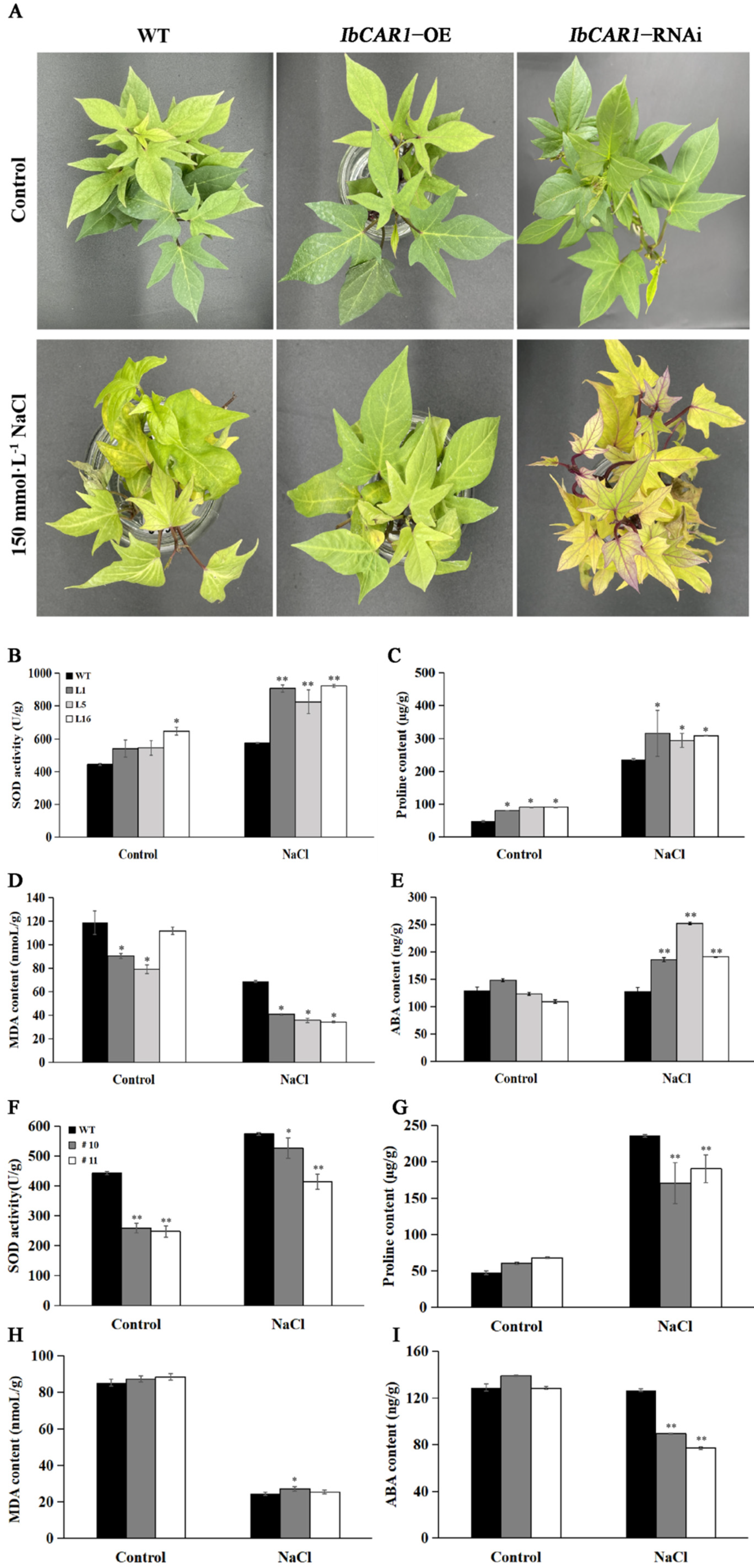 Ijms 23 09680 g005 550