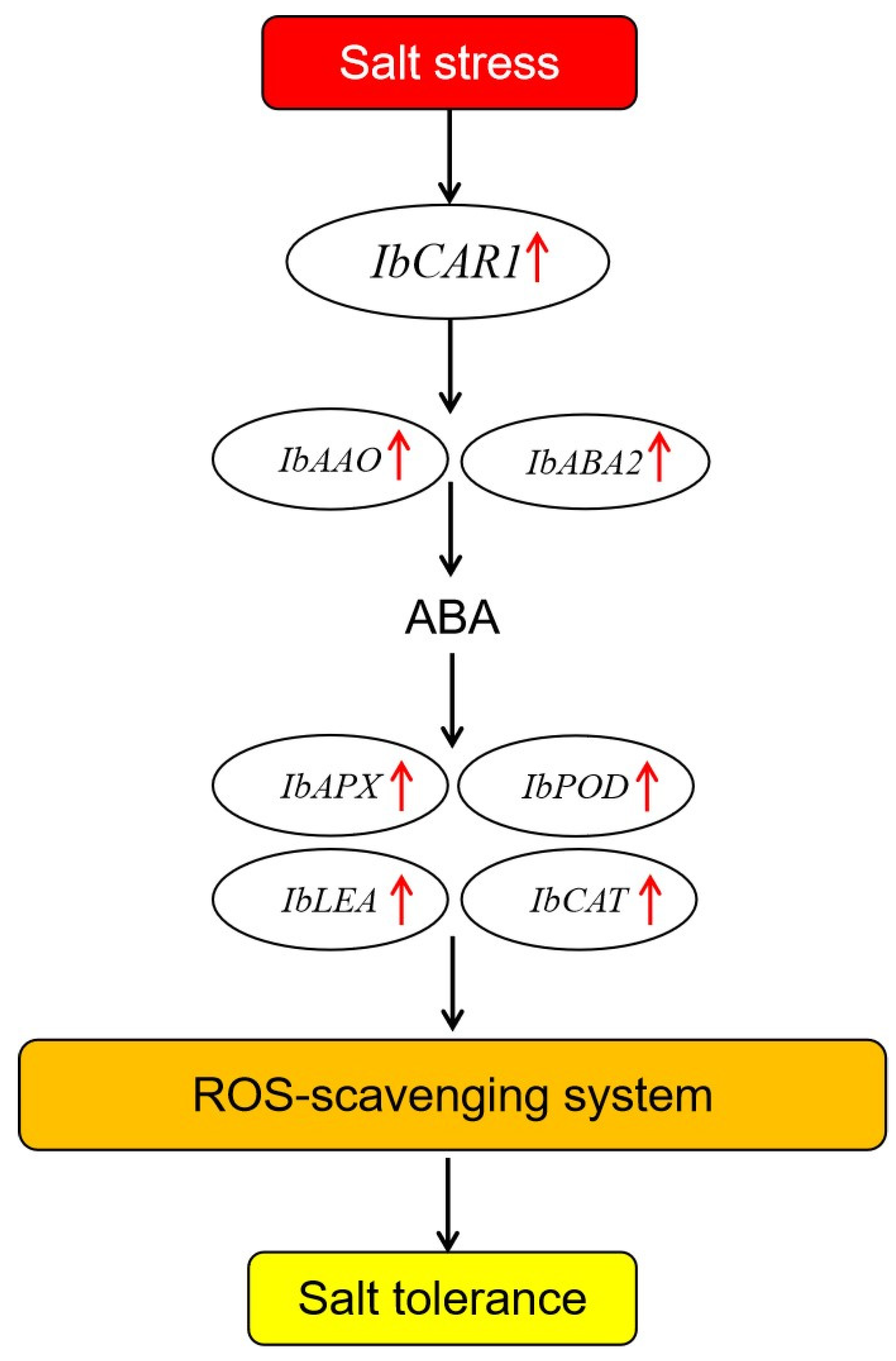 Ijms 23 09680 g007 550