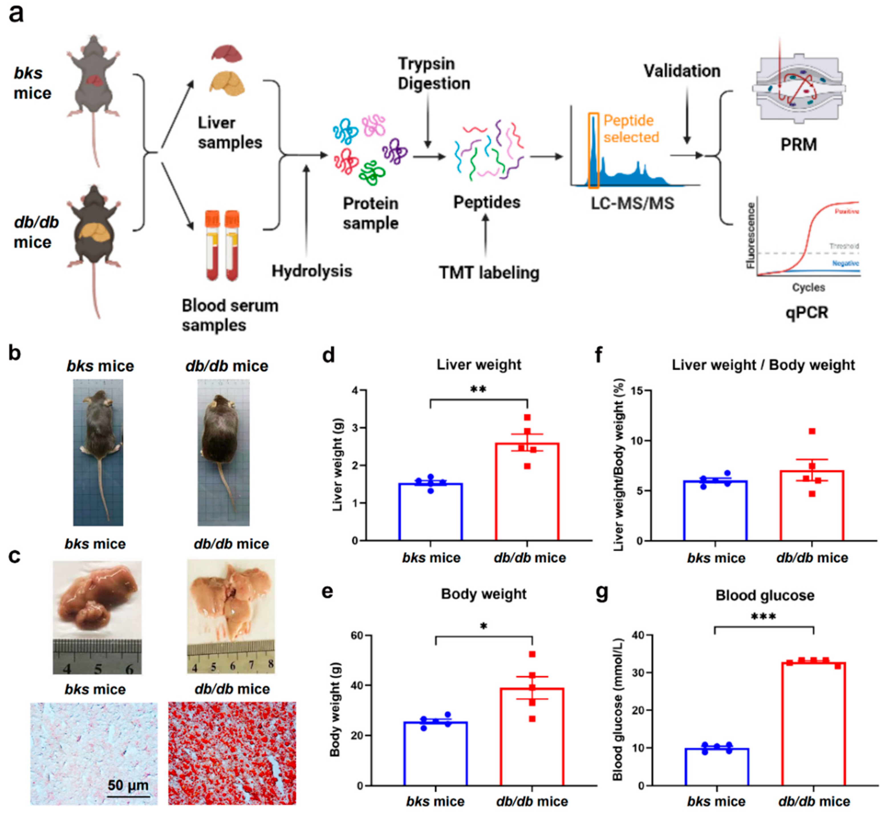 Ijms 23 09687 g001 550
