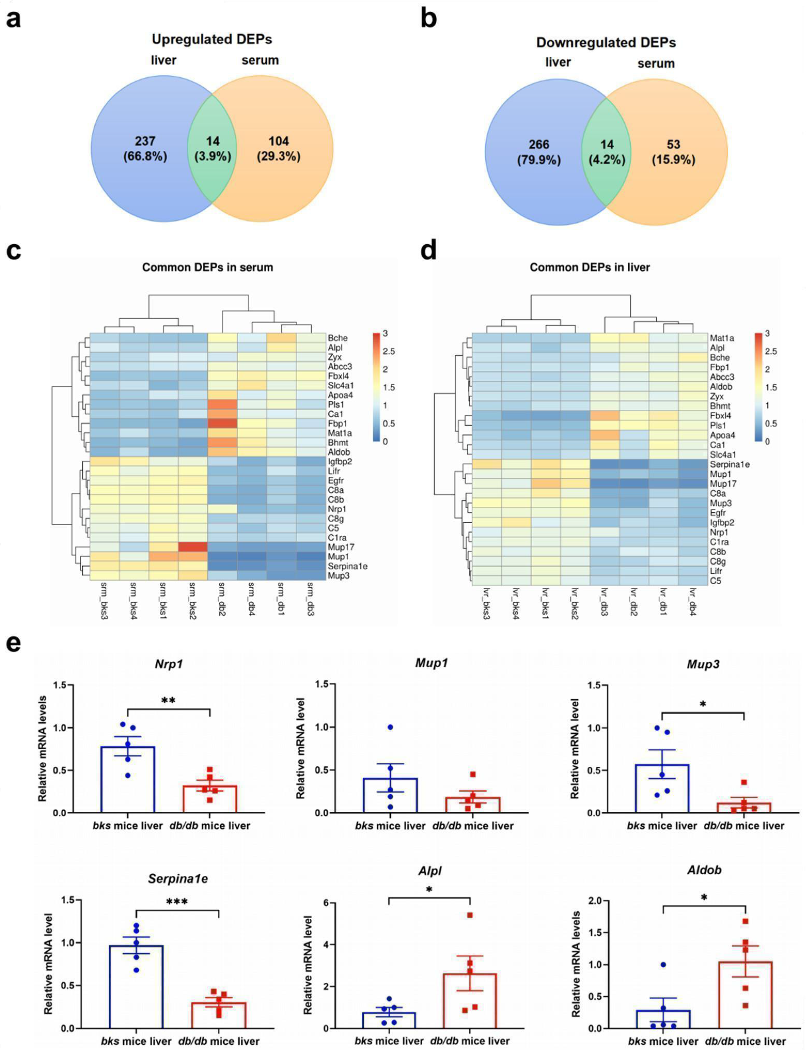 Ijms 23 09687 g005 550