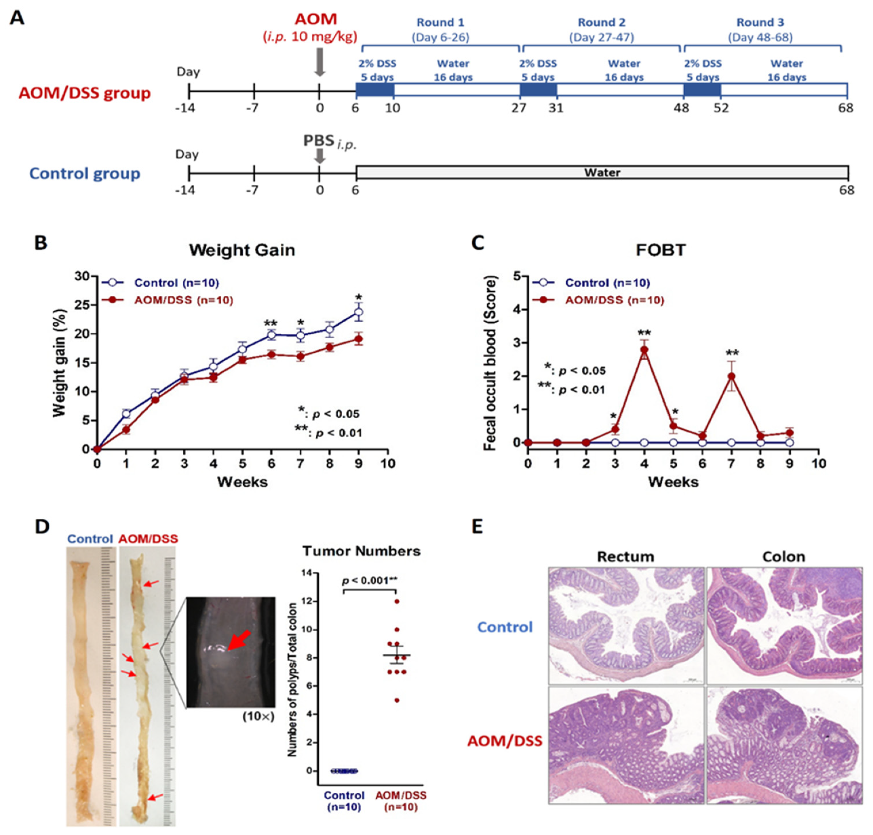 Ijms 23 09689 g001 550