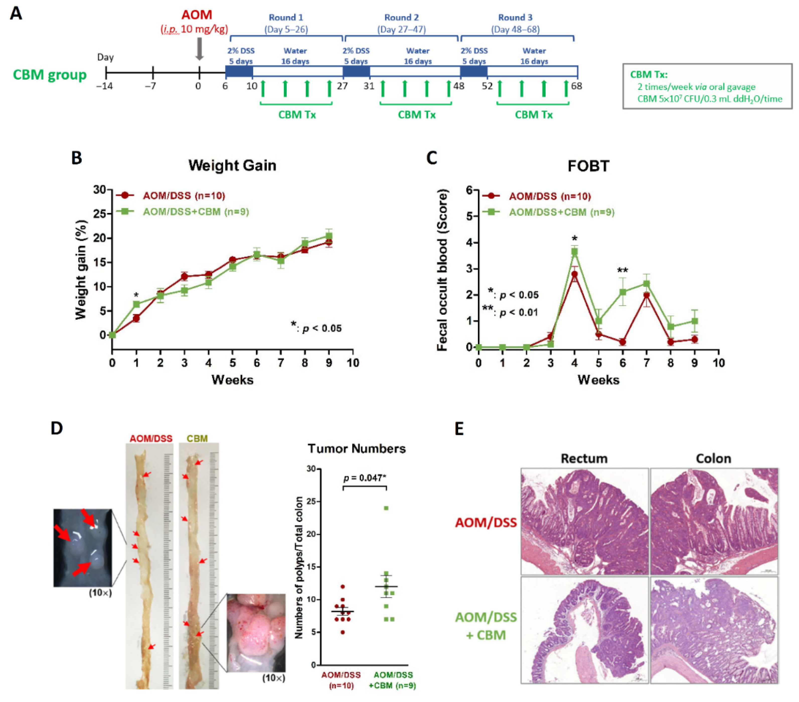 Ijms 23 09689 g003 550