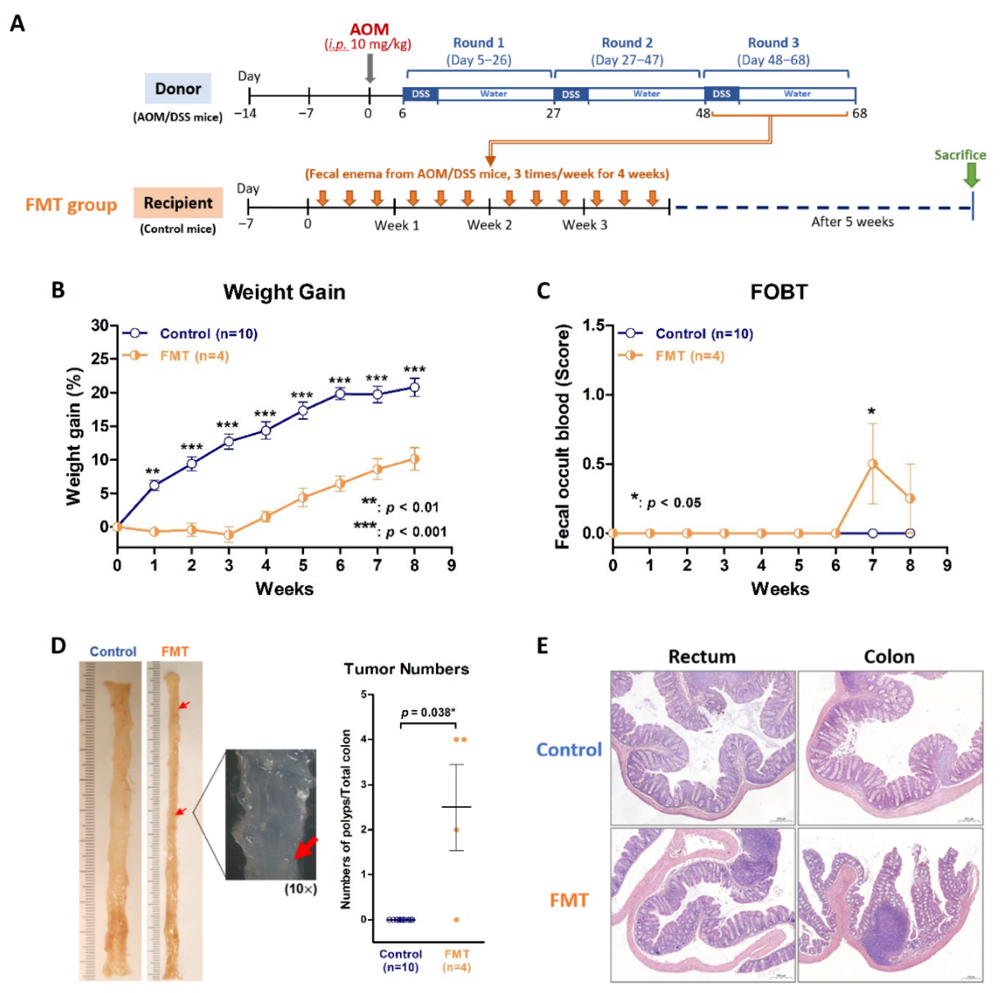 Ijms 23 09689 g005 550