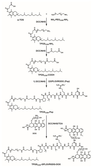 Intelligent Drug Delivery by Peptide-Based Dual-Function Micelles
