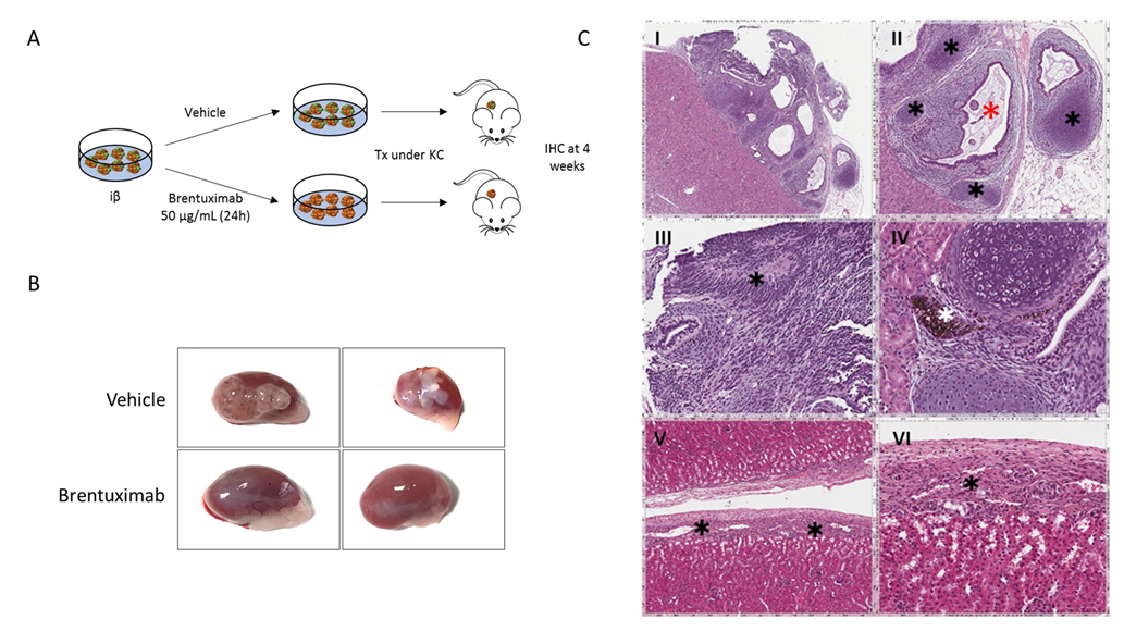 Ijms 23 09699 g003 550