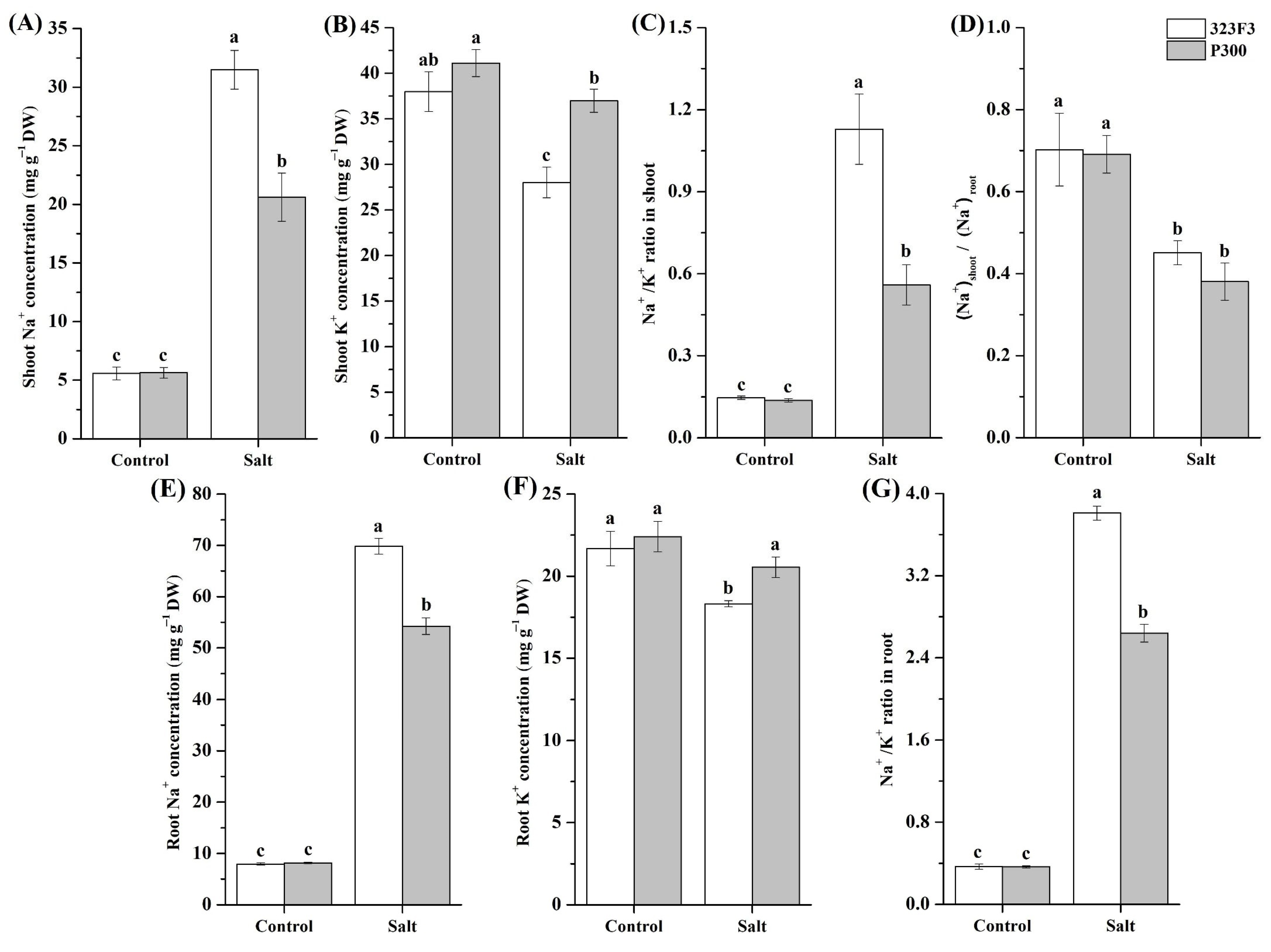 Ijms 23 09701 g002 550