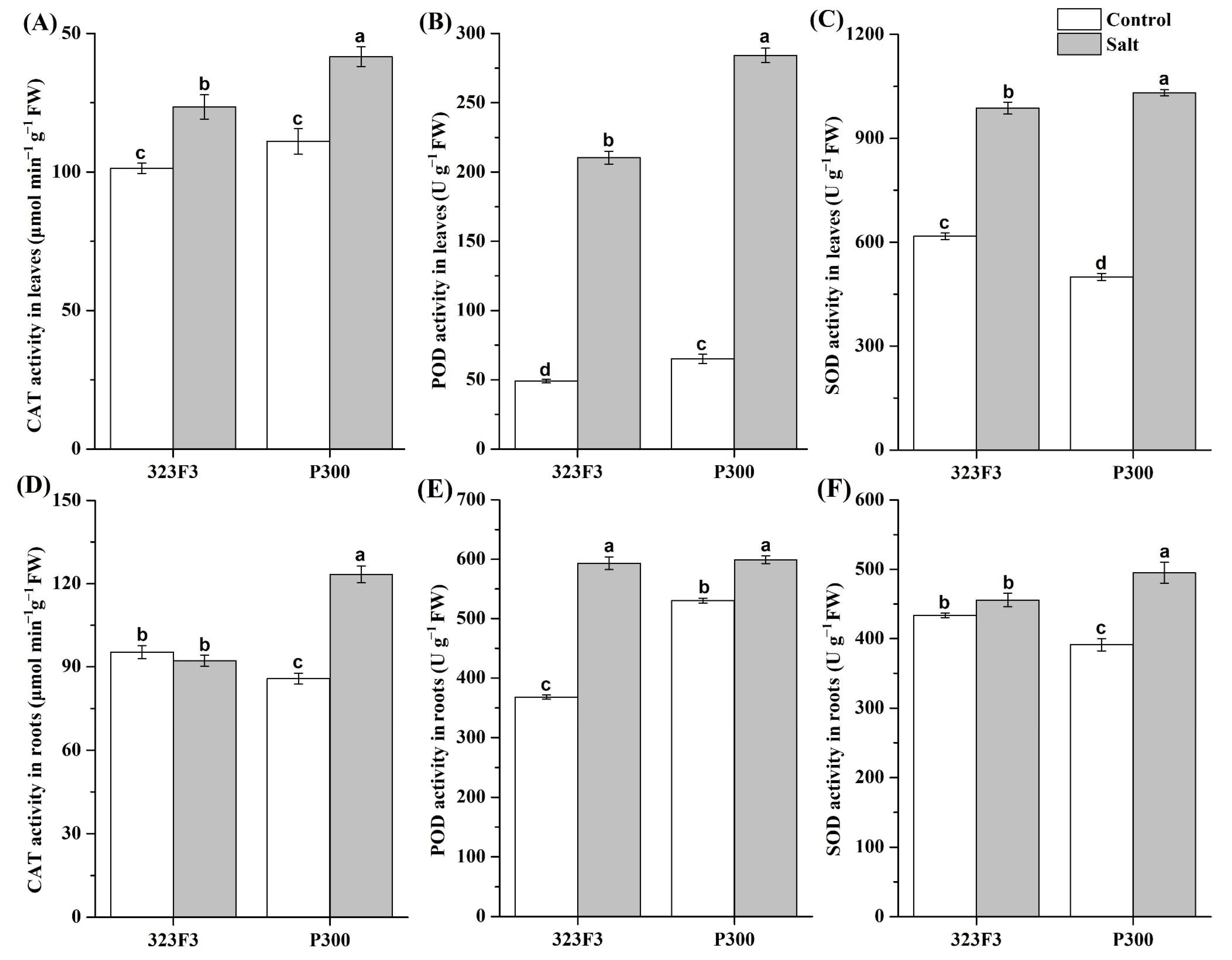 Ijms 23 09701 g003 550