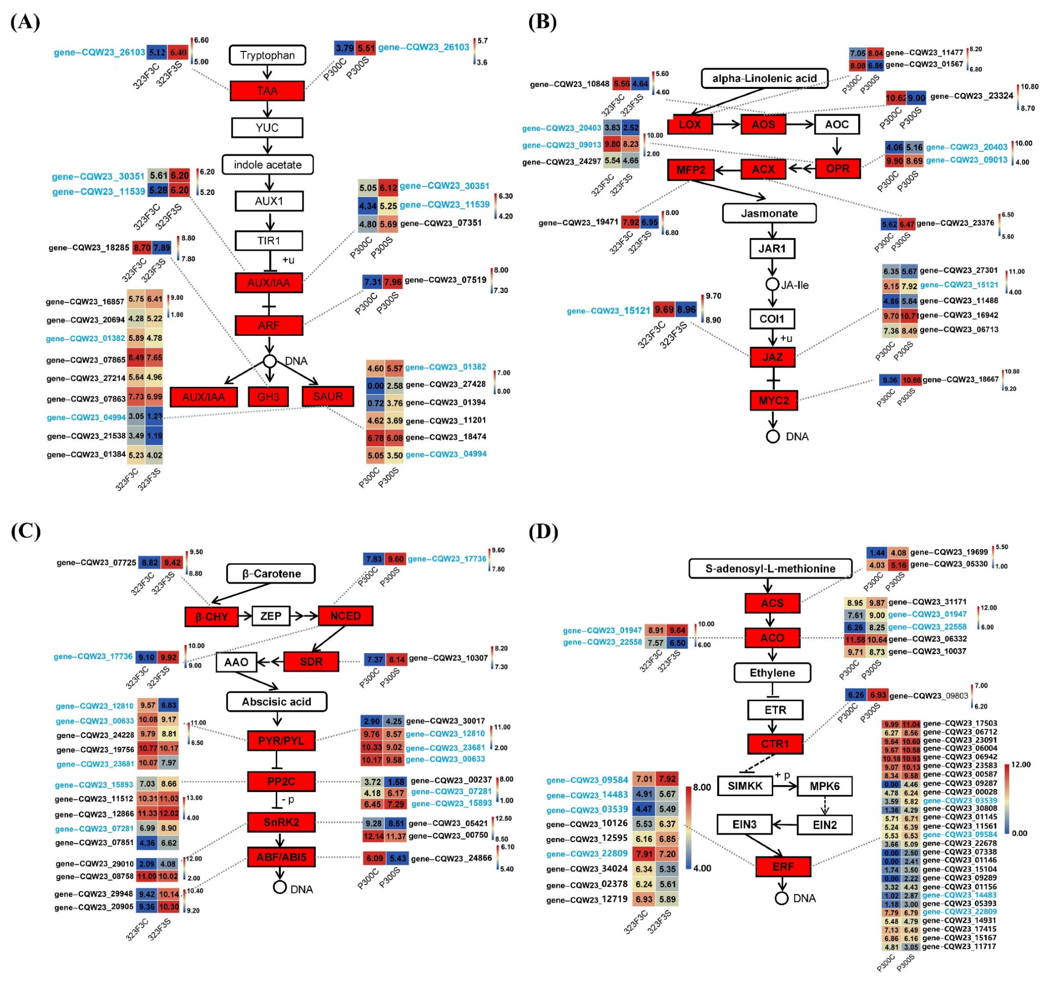 Ijms 23 09701 g009 550