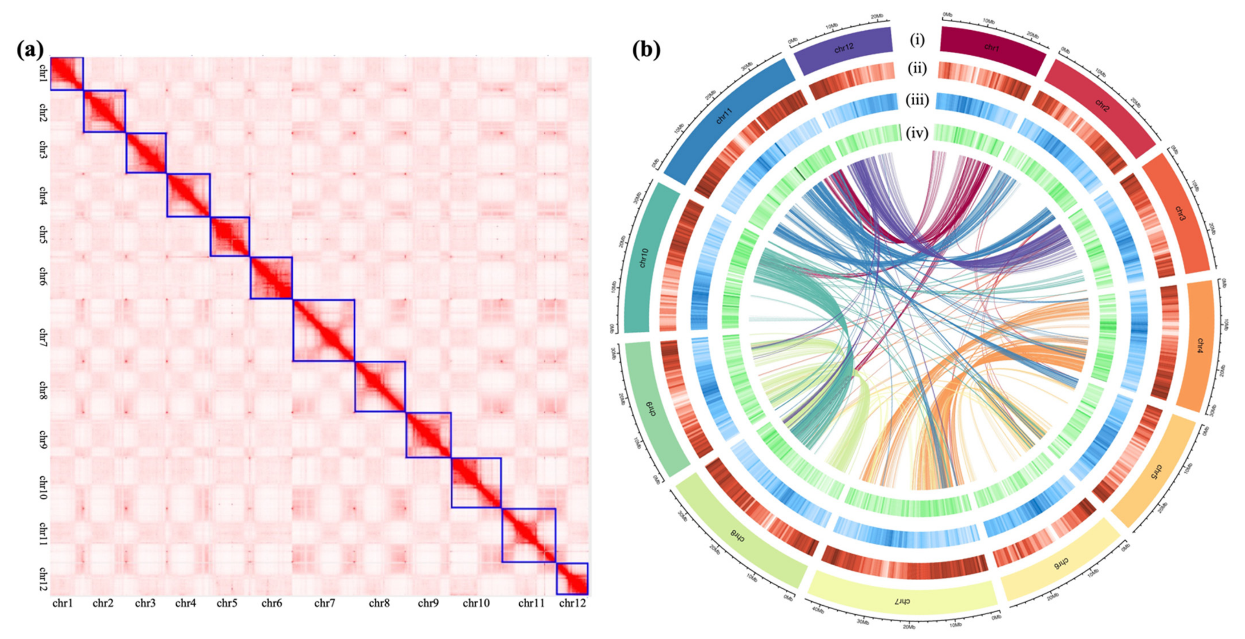 Ijms 23 09705 g001 550