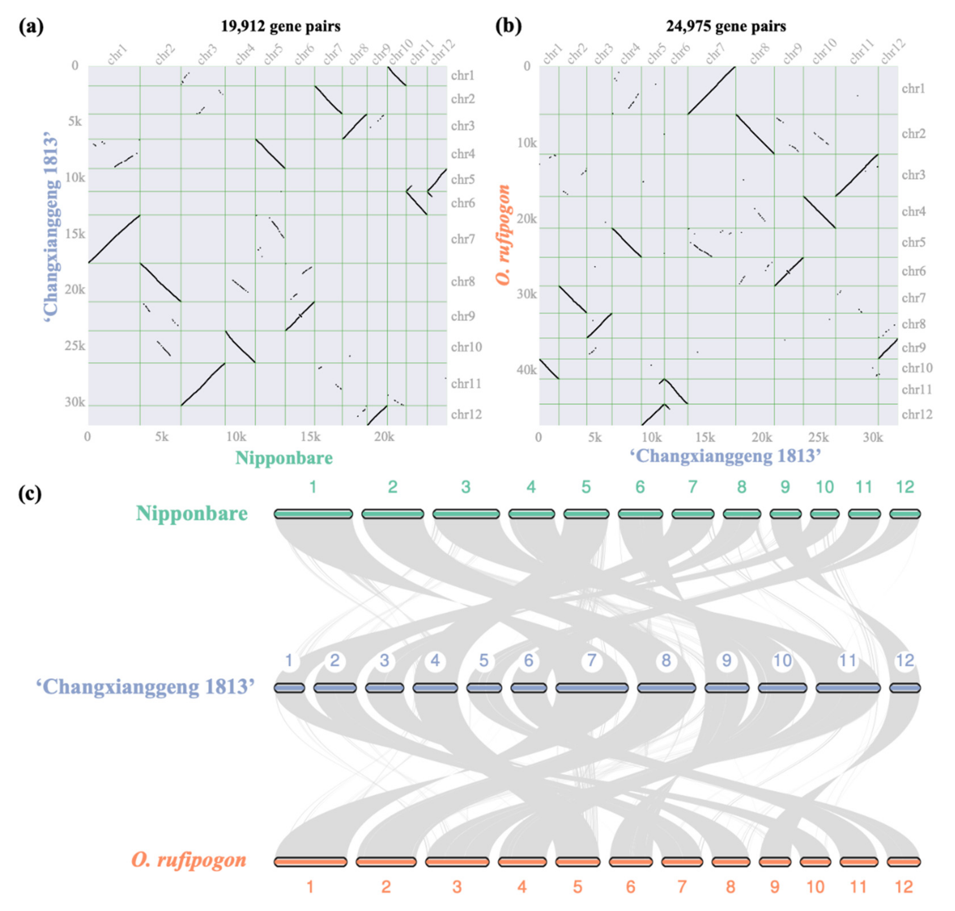 Ijms 23 09705 g002 550