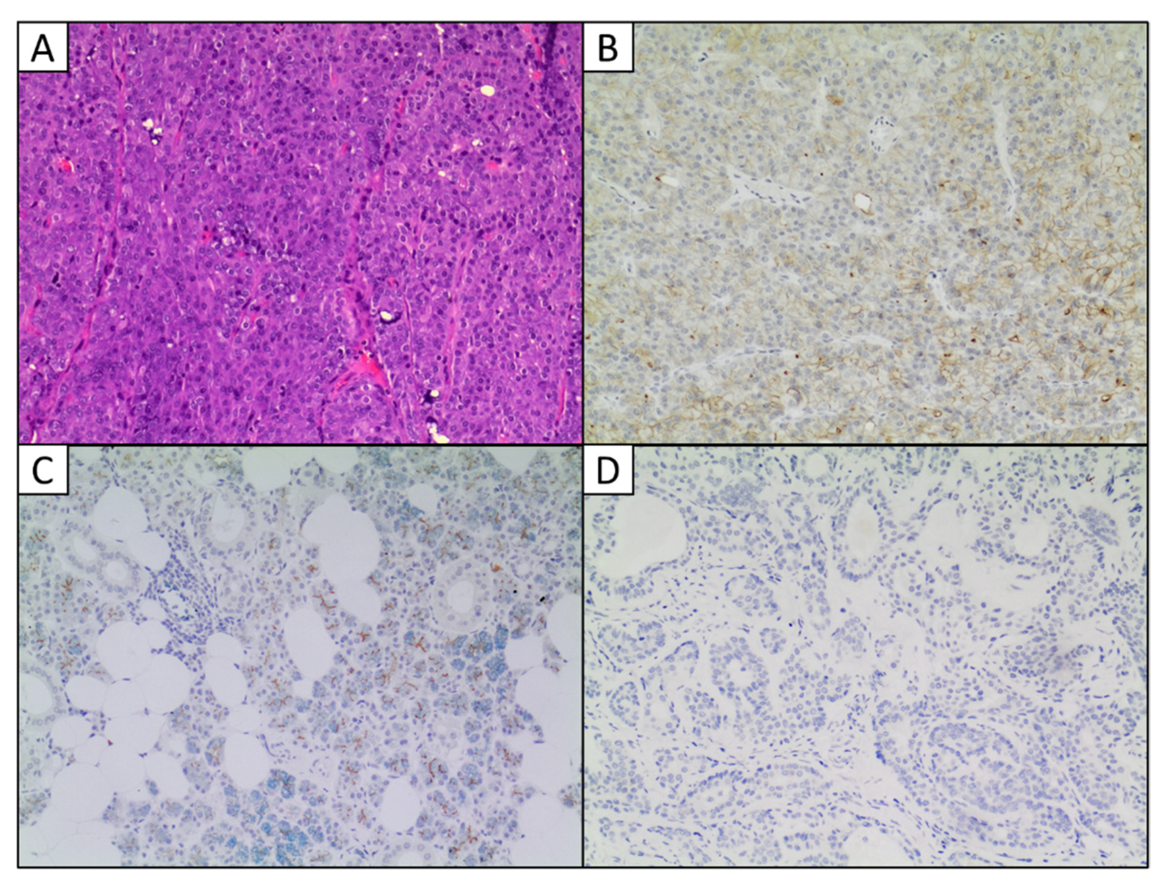 Ijms 23 09711 g002 550