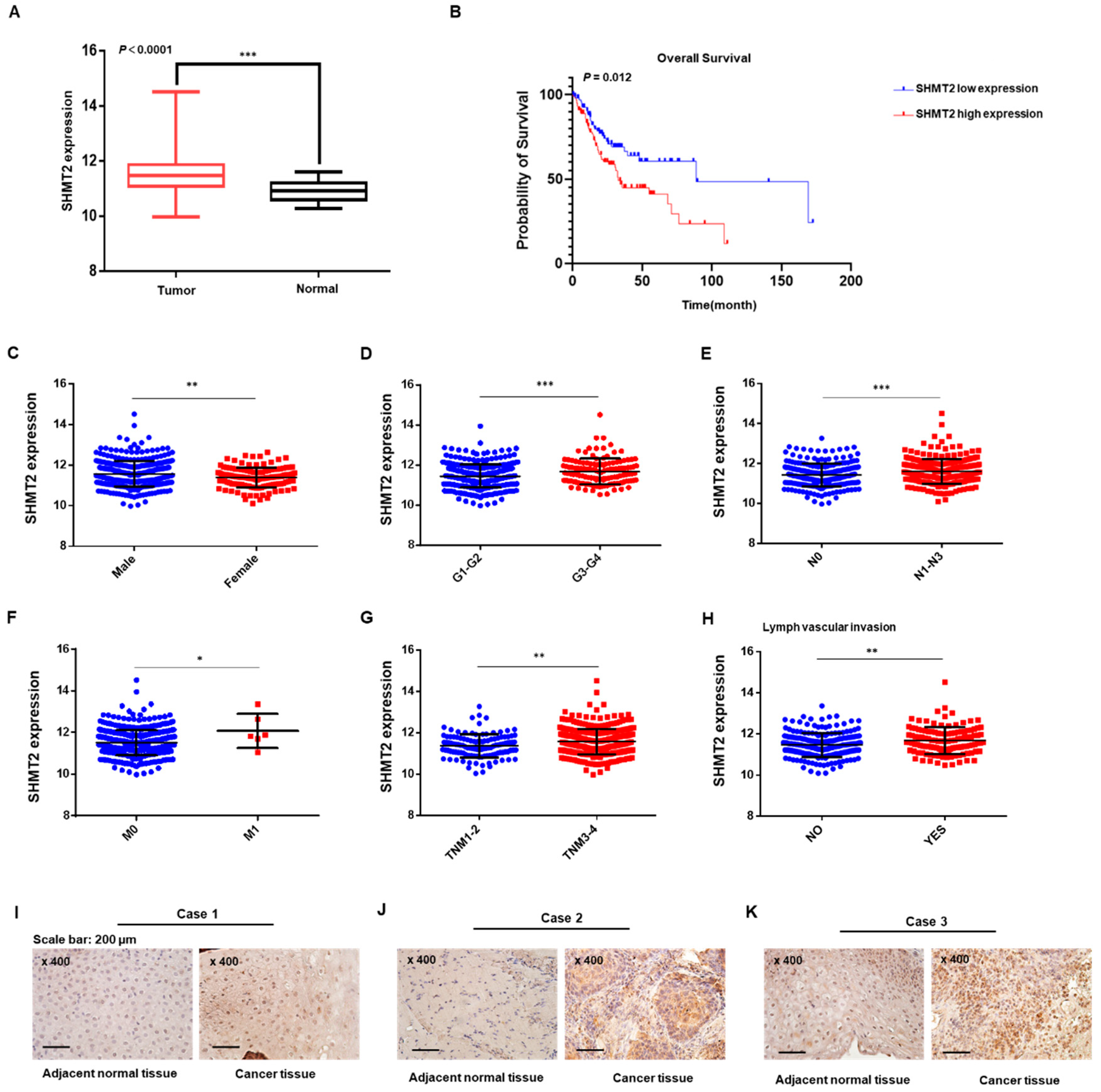 Ijms 23 09714 g001 550