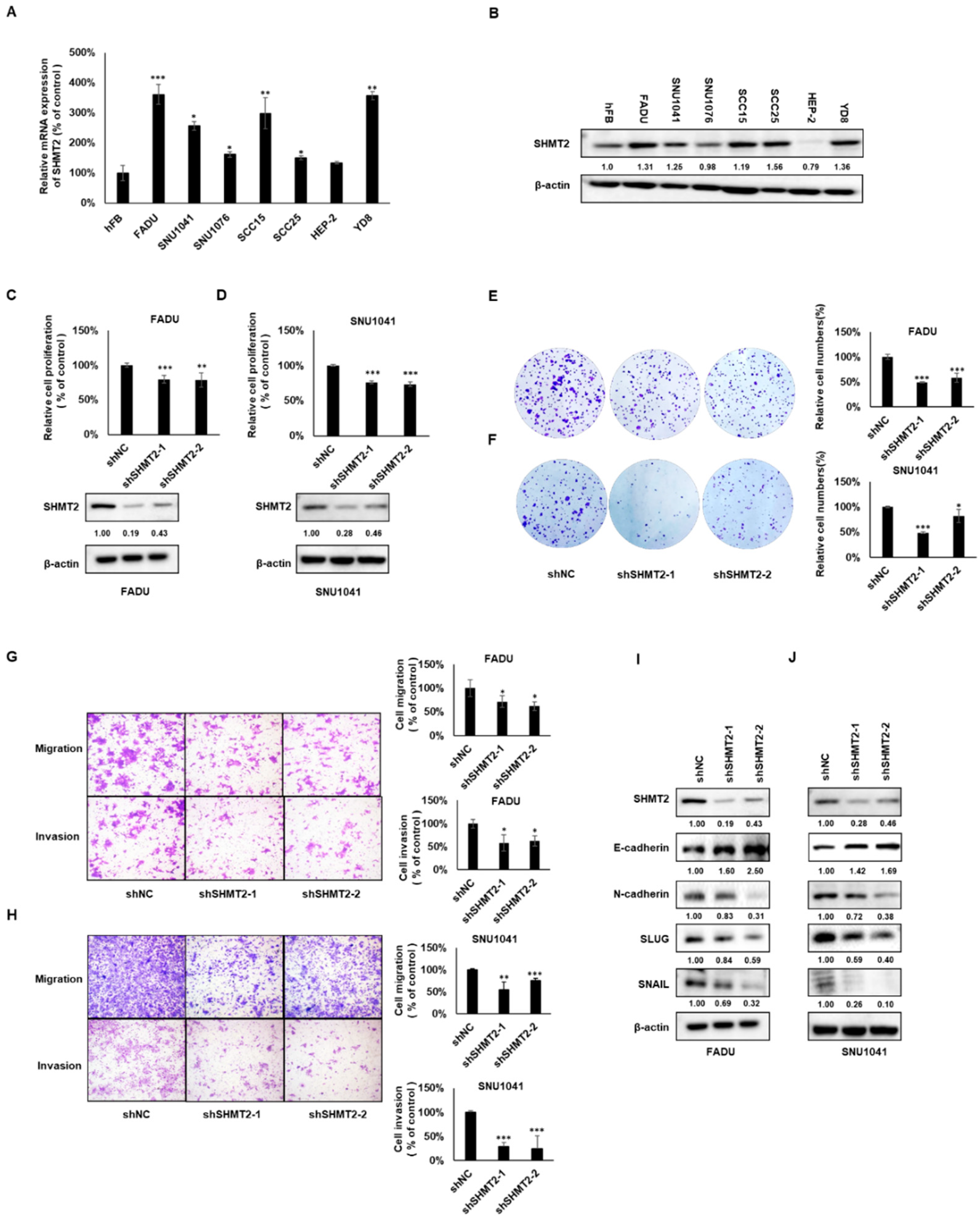 Ijms 23 09714 g002 550
