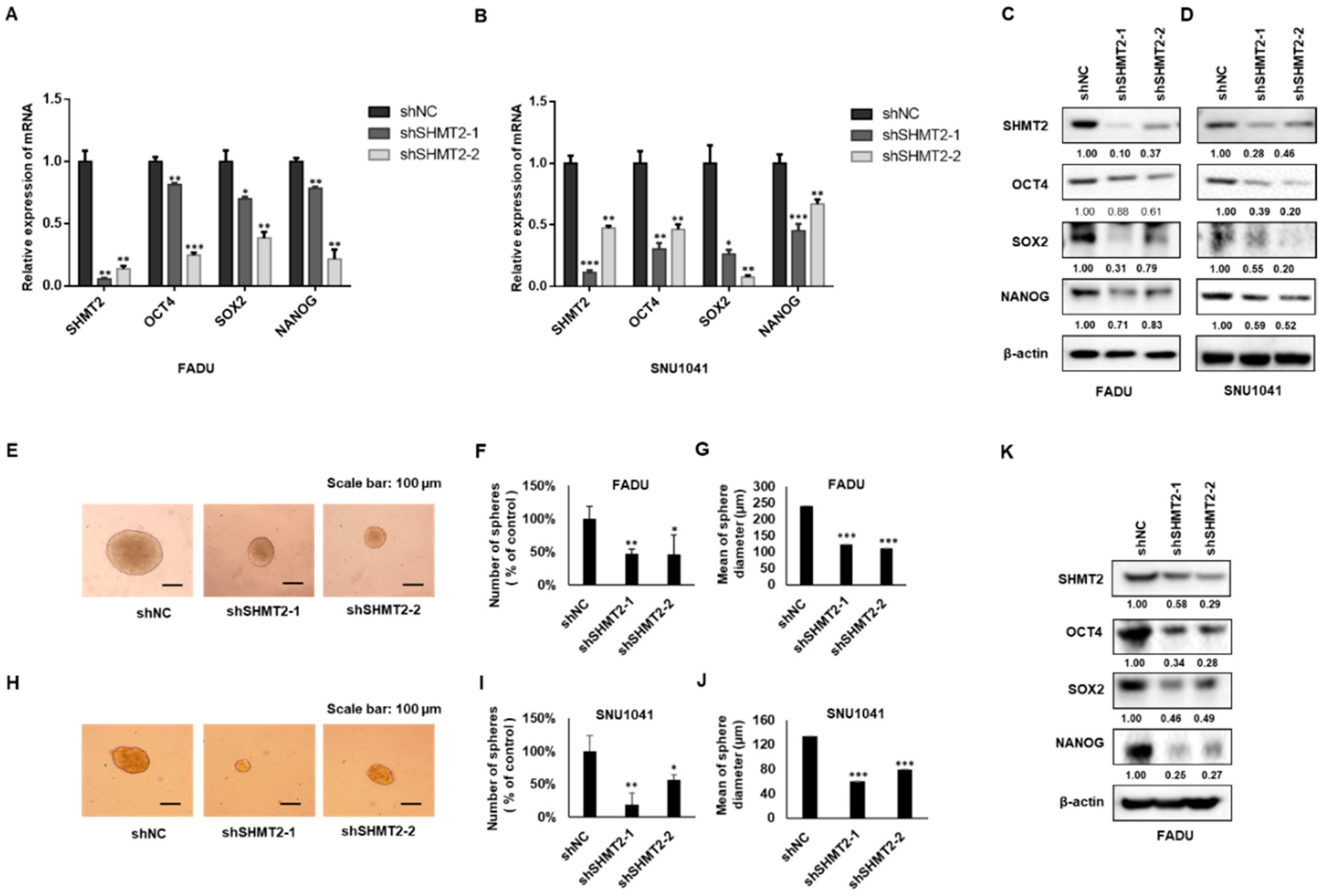Ijms 23 09714 g004 550