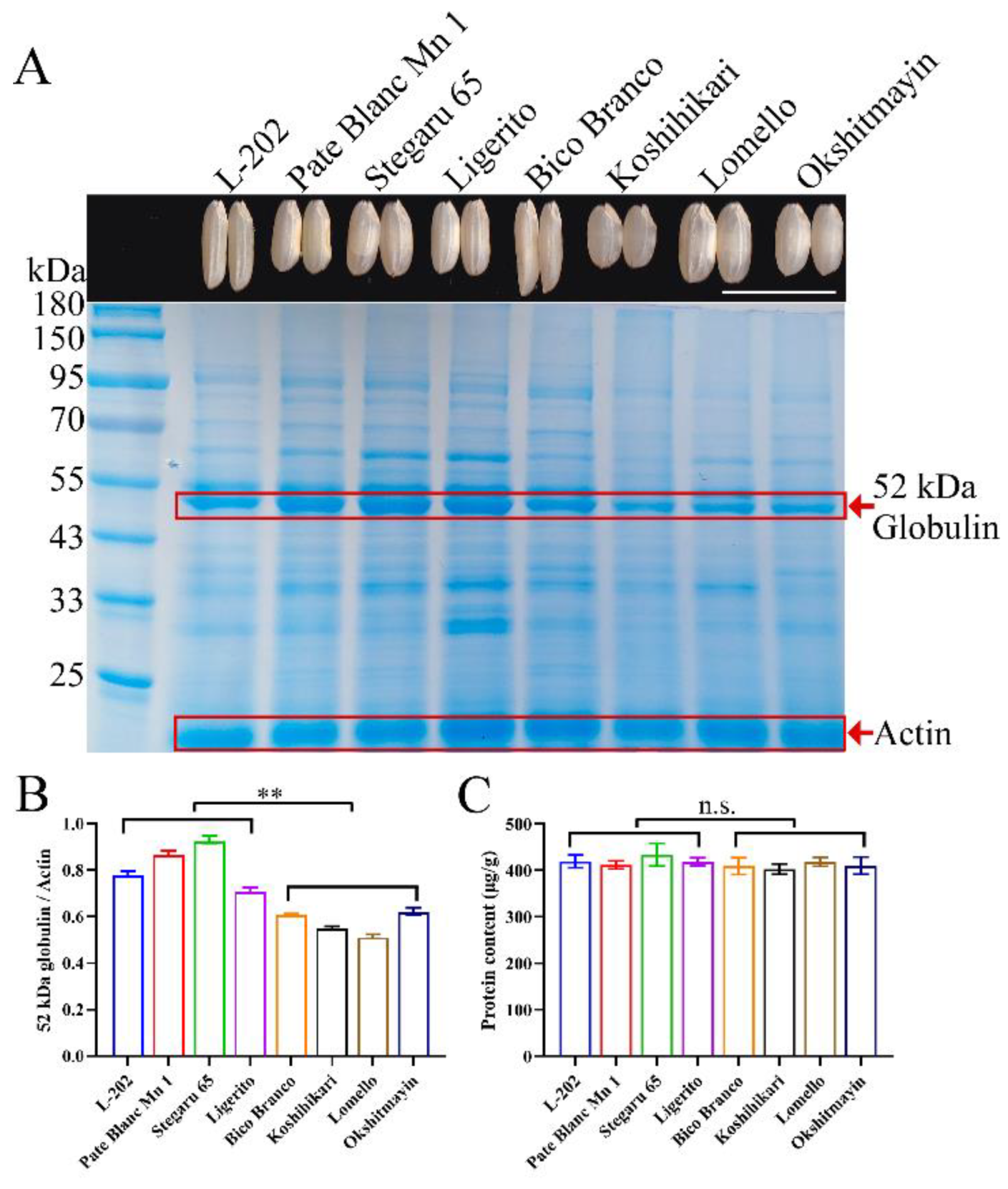 Ijms 23 09717 g001 550