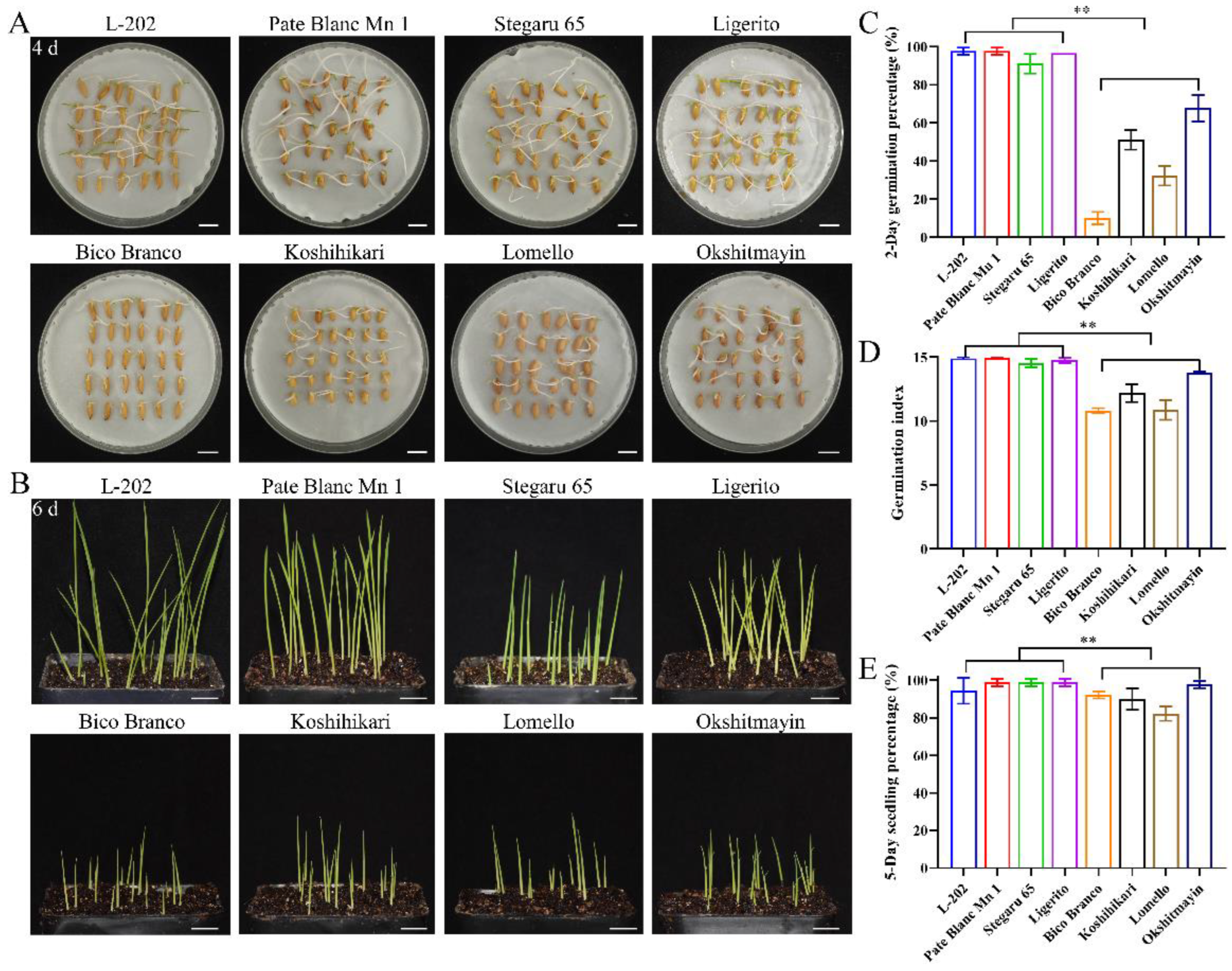 Ijms 23 09717 g002 550