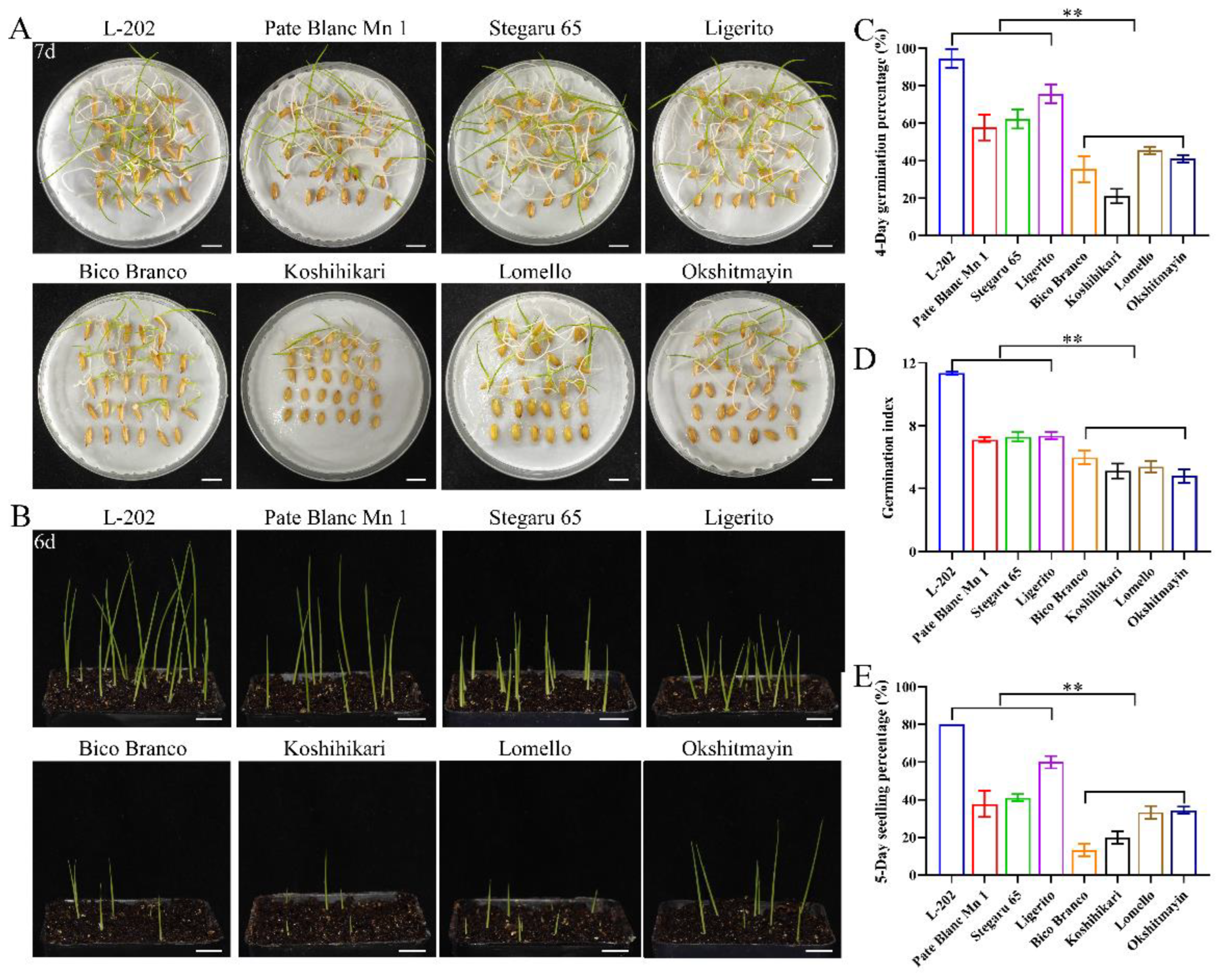 Ijms 23 09717 g003 550