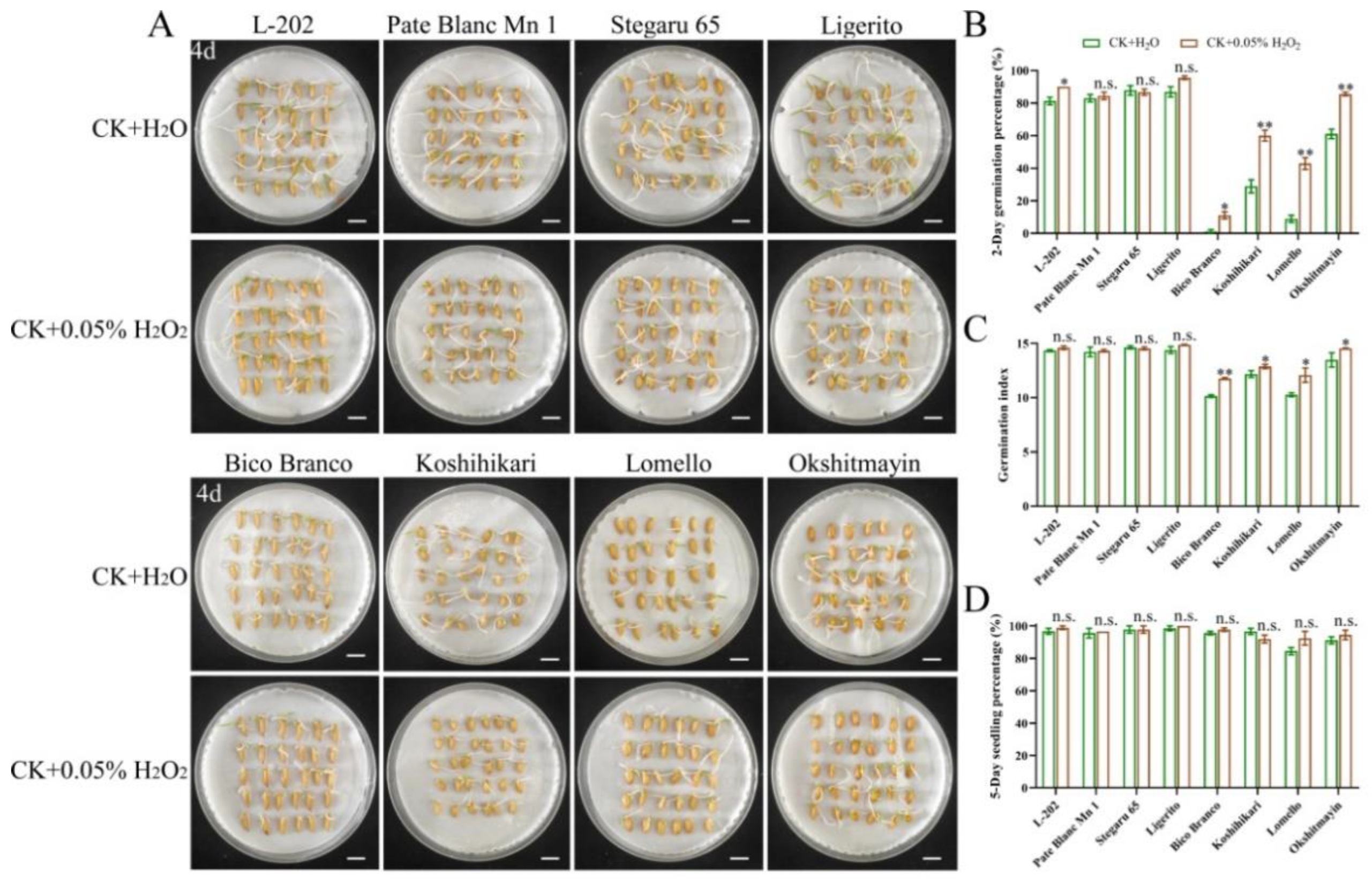 Ijms 23 09717 g006 550