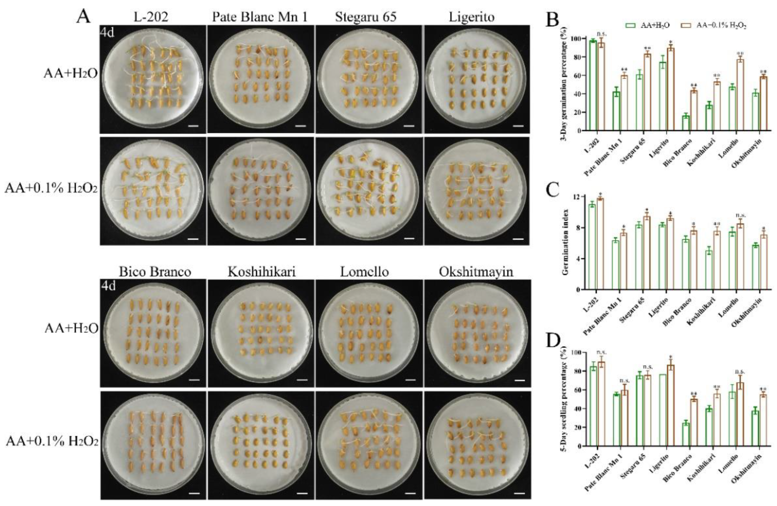 Ijms 23 09717 g007 550