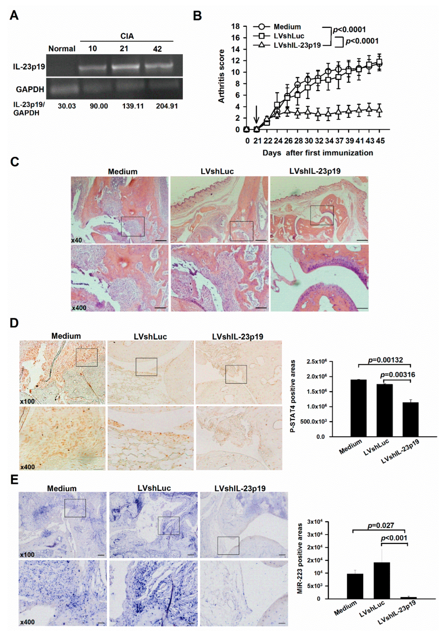 Ijms 23 09718 g001 Ijms 23 09718 g001