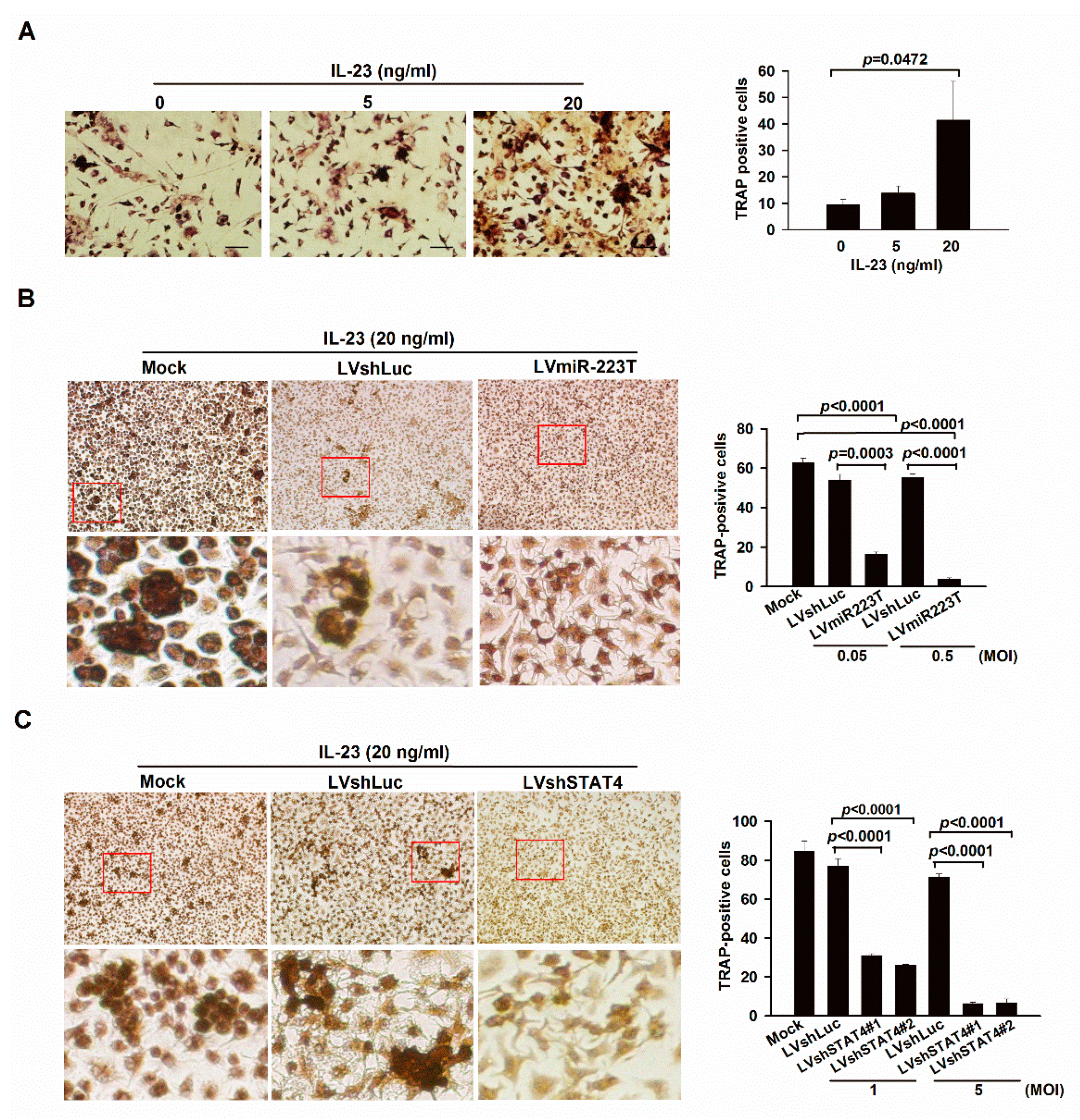 Ijms 23 09718 g002a Ijms 23 09718 g002a