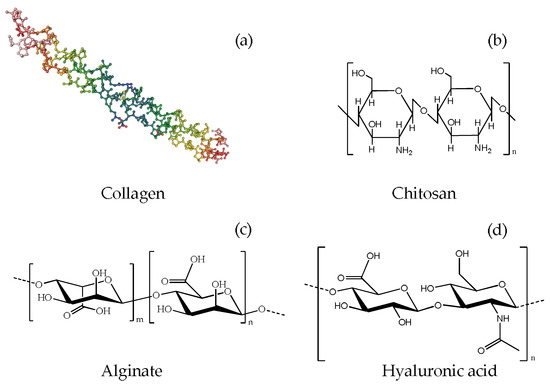 Recent Advances in Hydroxyapatite-Based Biocomposites for Bone Tissue ...