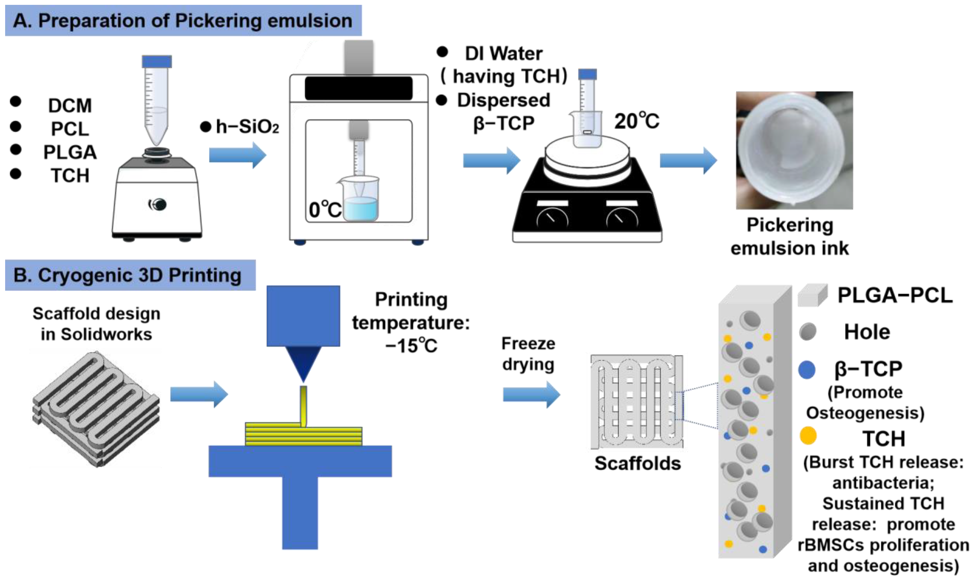 Ijms 23 09722 g001 550