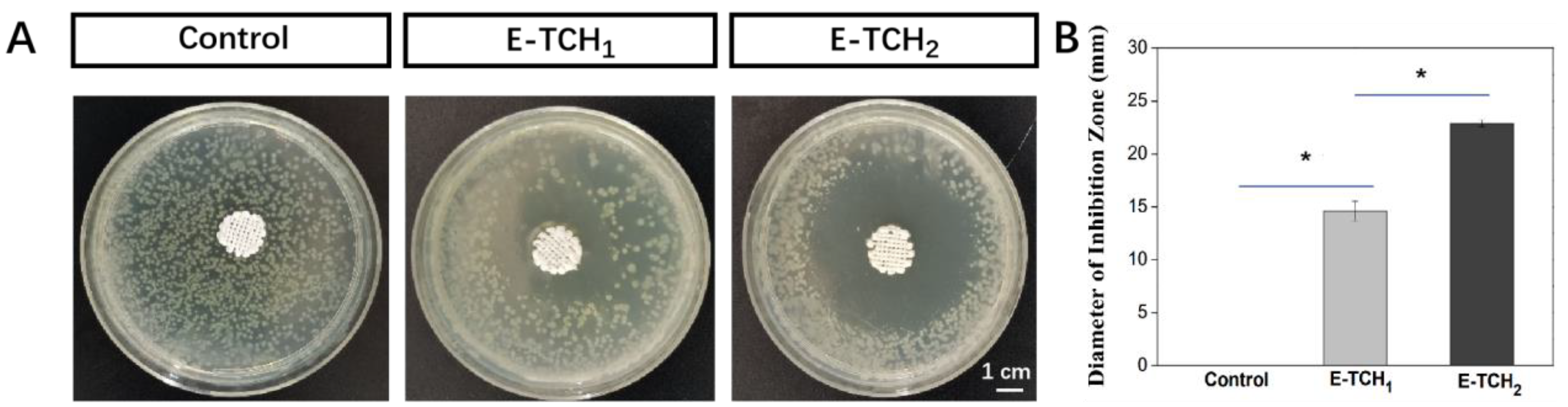 Ijms 23 09722 g006 550