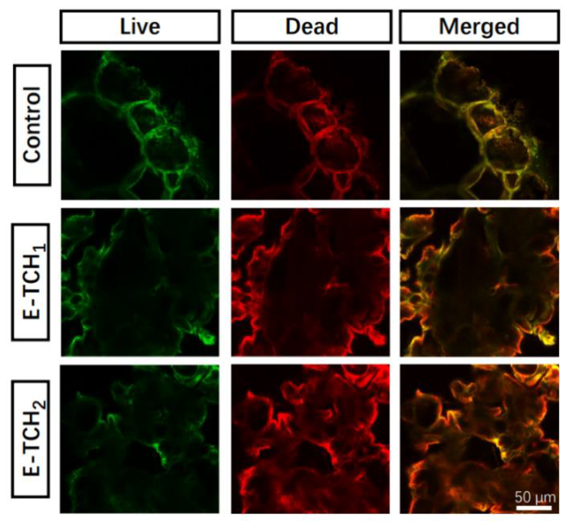 Ijms 23 09722 g007 550