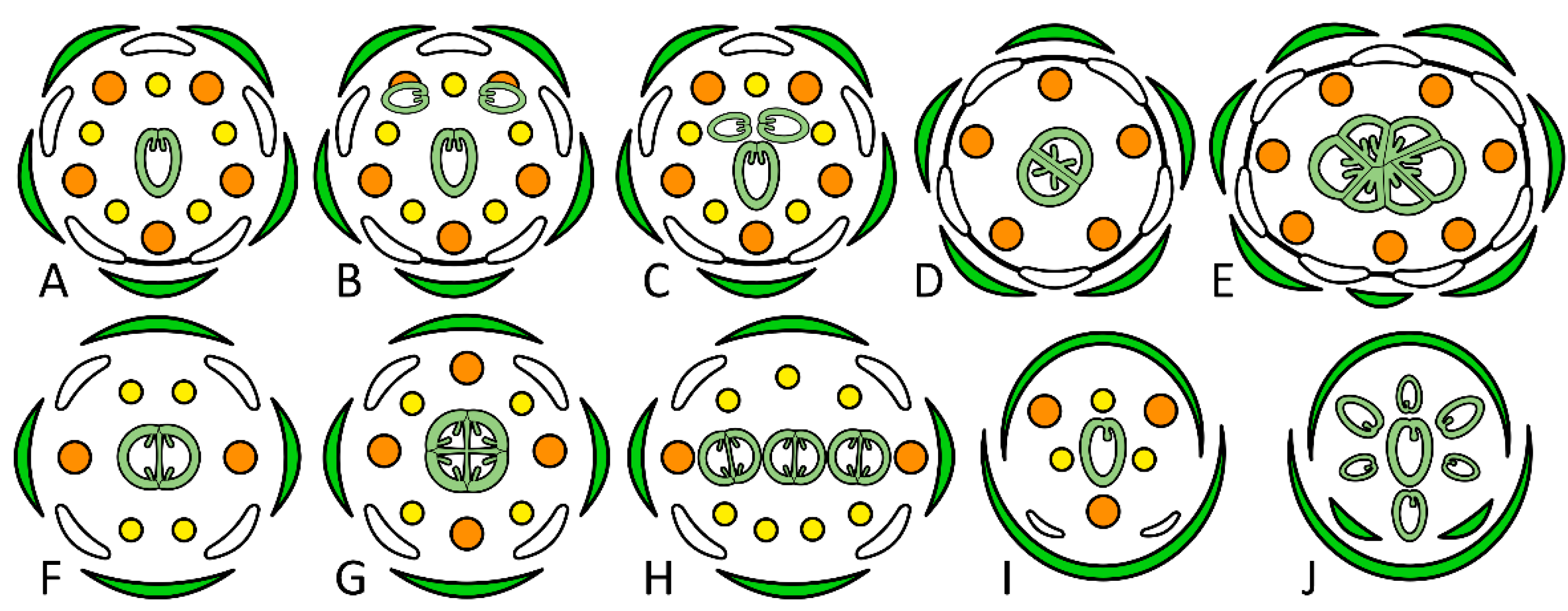 Ijms 23 09723 g001 550