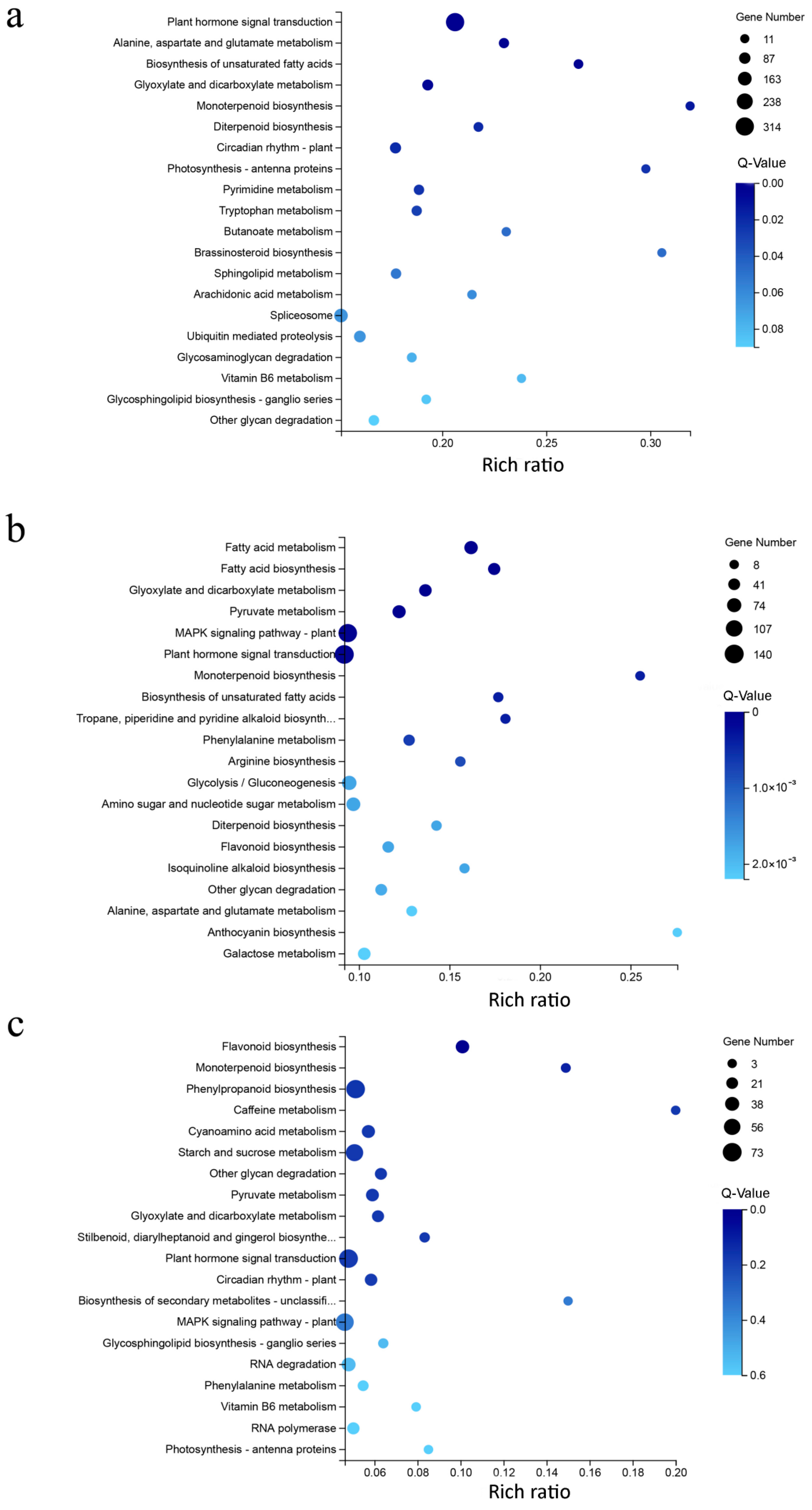 Ijms 23 09726 g006 Ijms 23 09726 g006