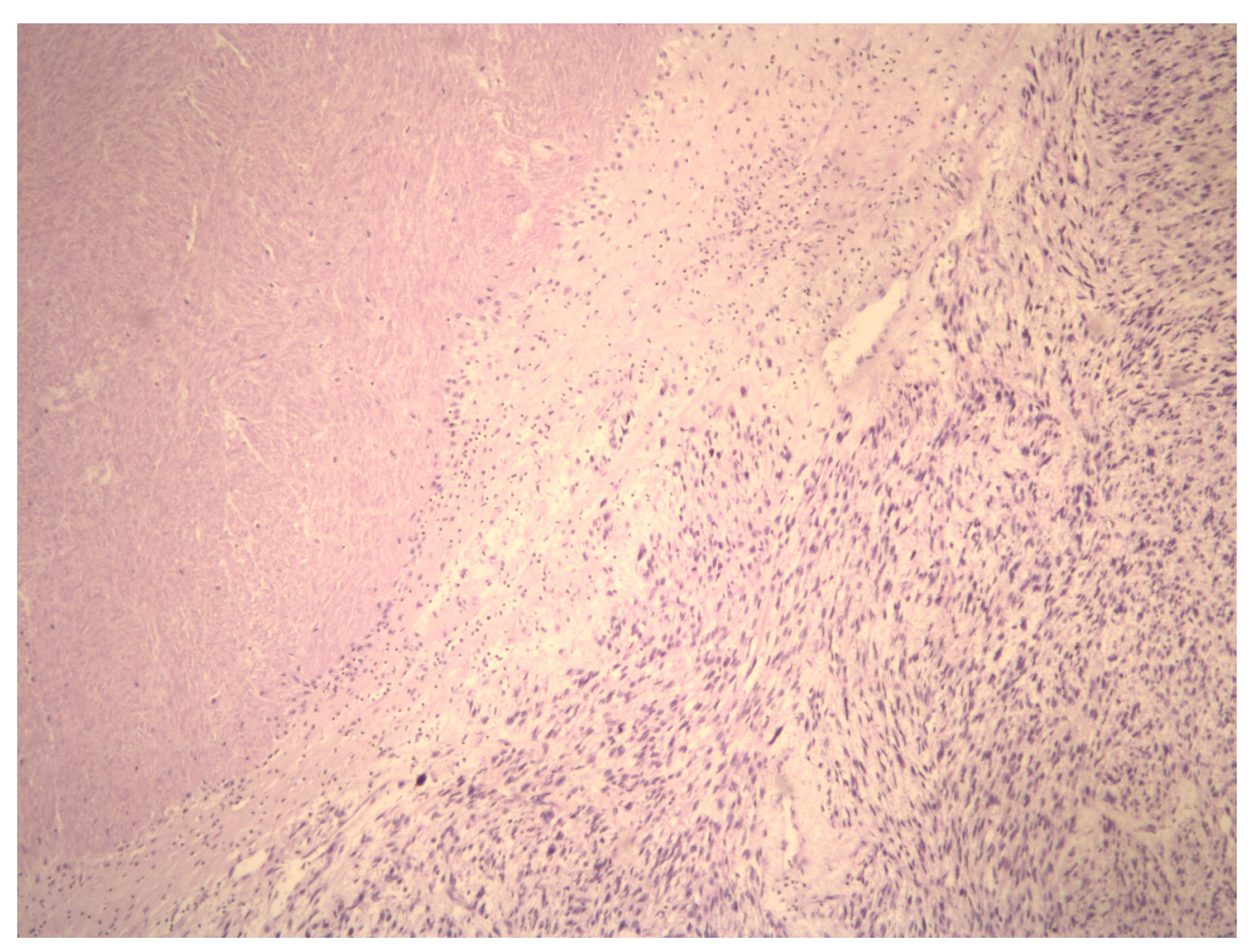 Ijms 23 09728 g001 Ijms 23 09728 g001