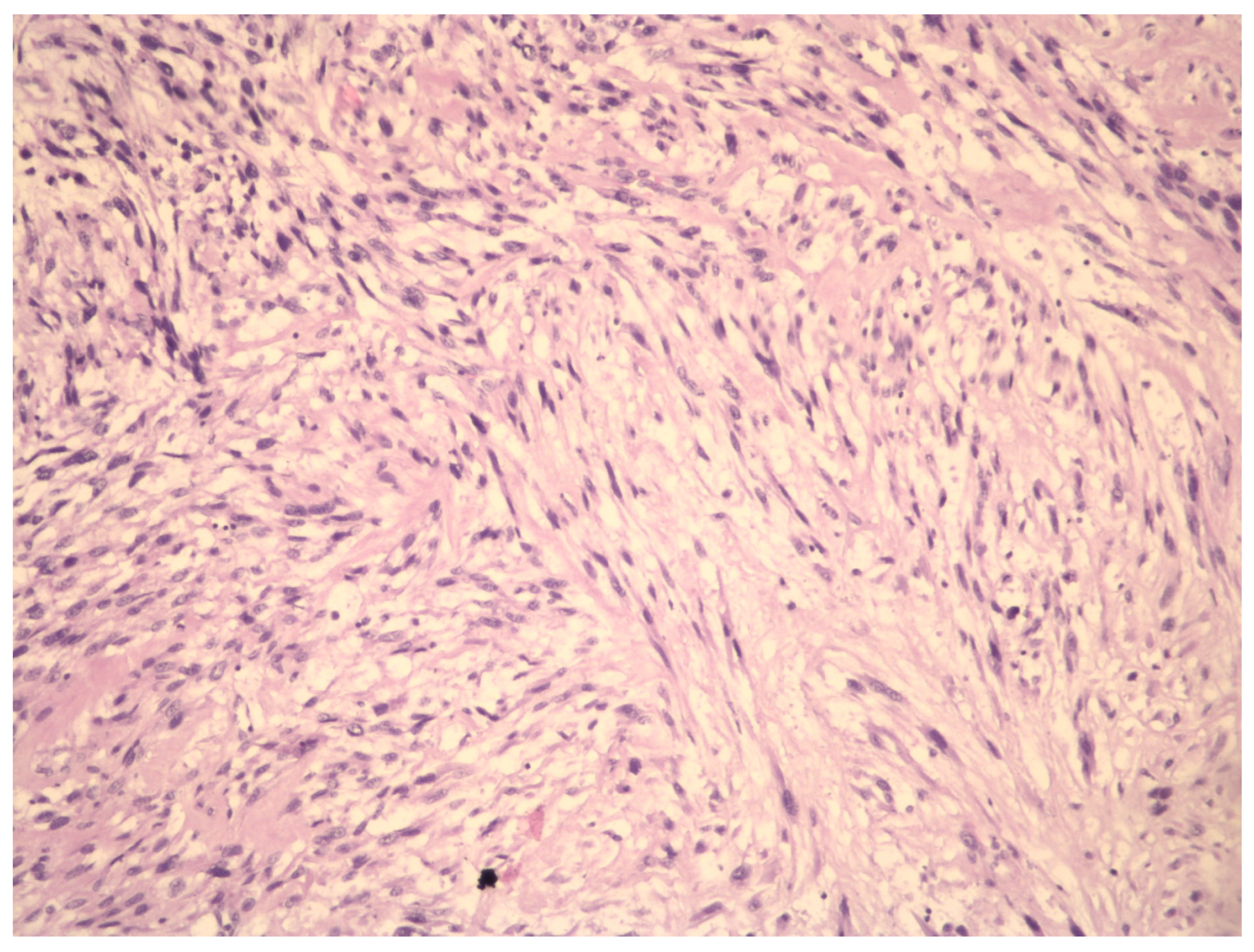 Ijms 23 09728 g002 Ijms 23 09728 g002